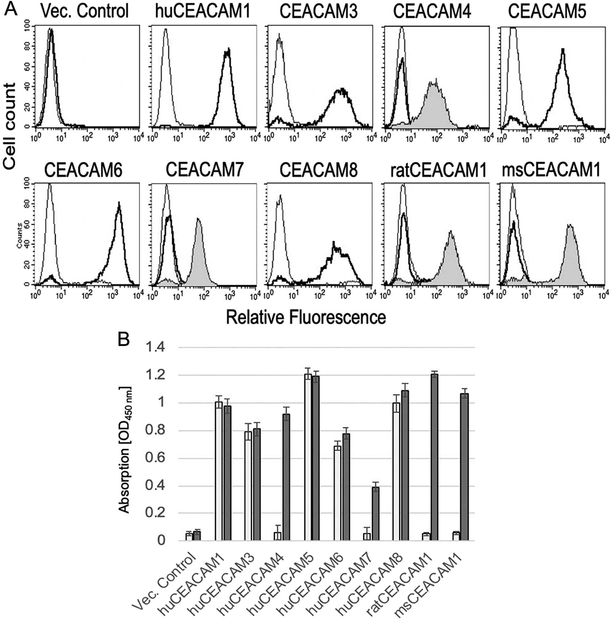 (A) Flow cytometric analyzes of mAb 6G5j with CHO transfectants expressing human, rat and mouse CEACAMs. MAb 6G5j binding is shown as thick line, isotype matched IgG thin line and positive control staining gray-filled histogram. In panel (B), the results in (A) were confirmed by ELISA in which indicated lysates were immobilized and detected by mAb 6G5j (white bars) or positive control staining (grey bars) followed by incubation with HRP-coupled secondary antibody and the chromagen substrate TMB. Data are representative of three independent experiments.