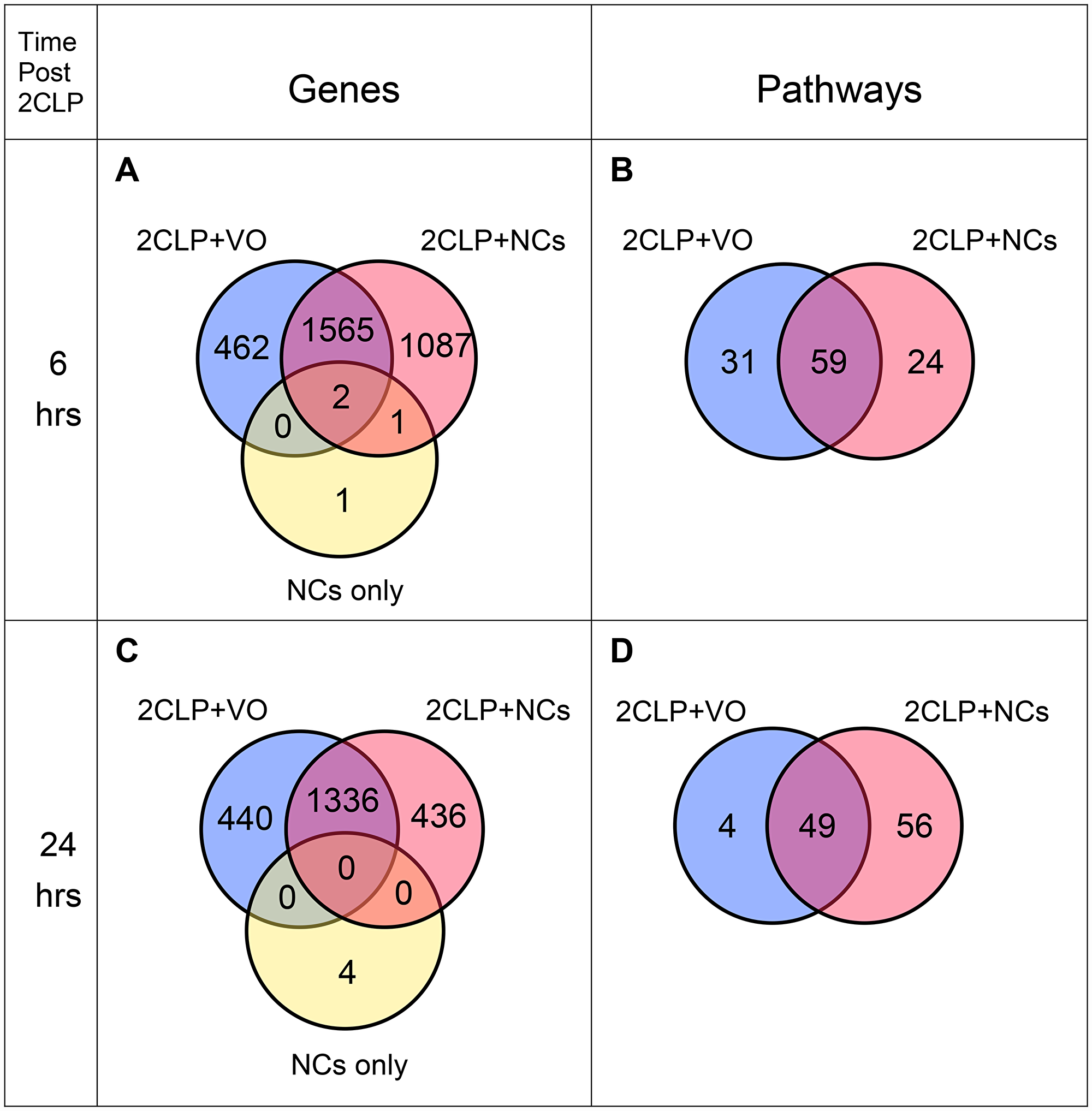 Venn diagrams of expressed genes and enriched pathways