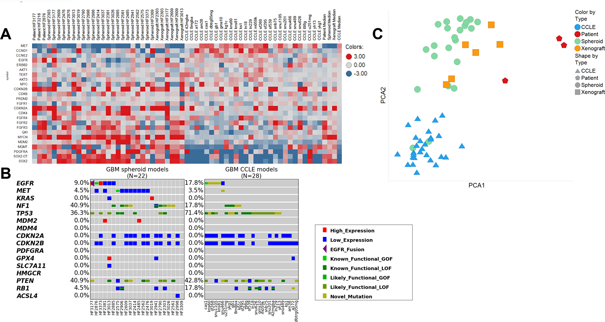 Comparison of gene expression and mutational status of patient-derived glioblastoma samples compared to those from CCLE