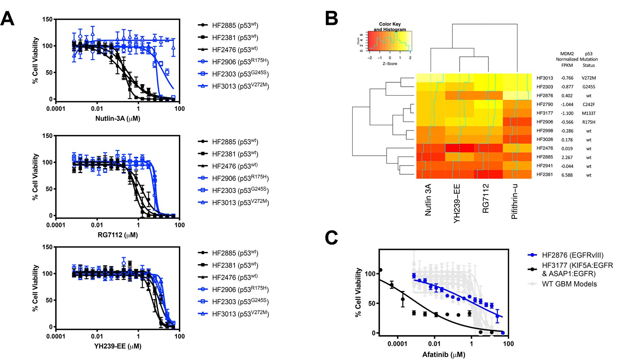 Discovery of MDM2 inhibitor sensitivity correlation with MDM2 copy number and p53 mutational status