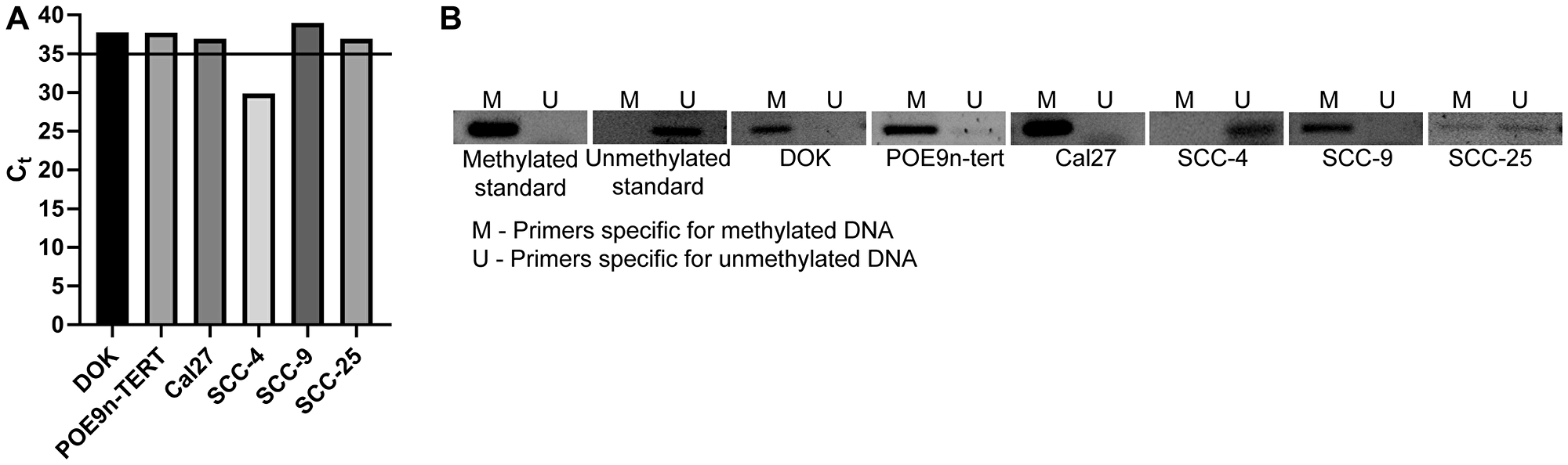 SMPD3 is methylated and its expression is undetected in a panel of oral dysplasia and cancer cell lines, except for SCC-4