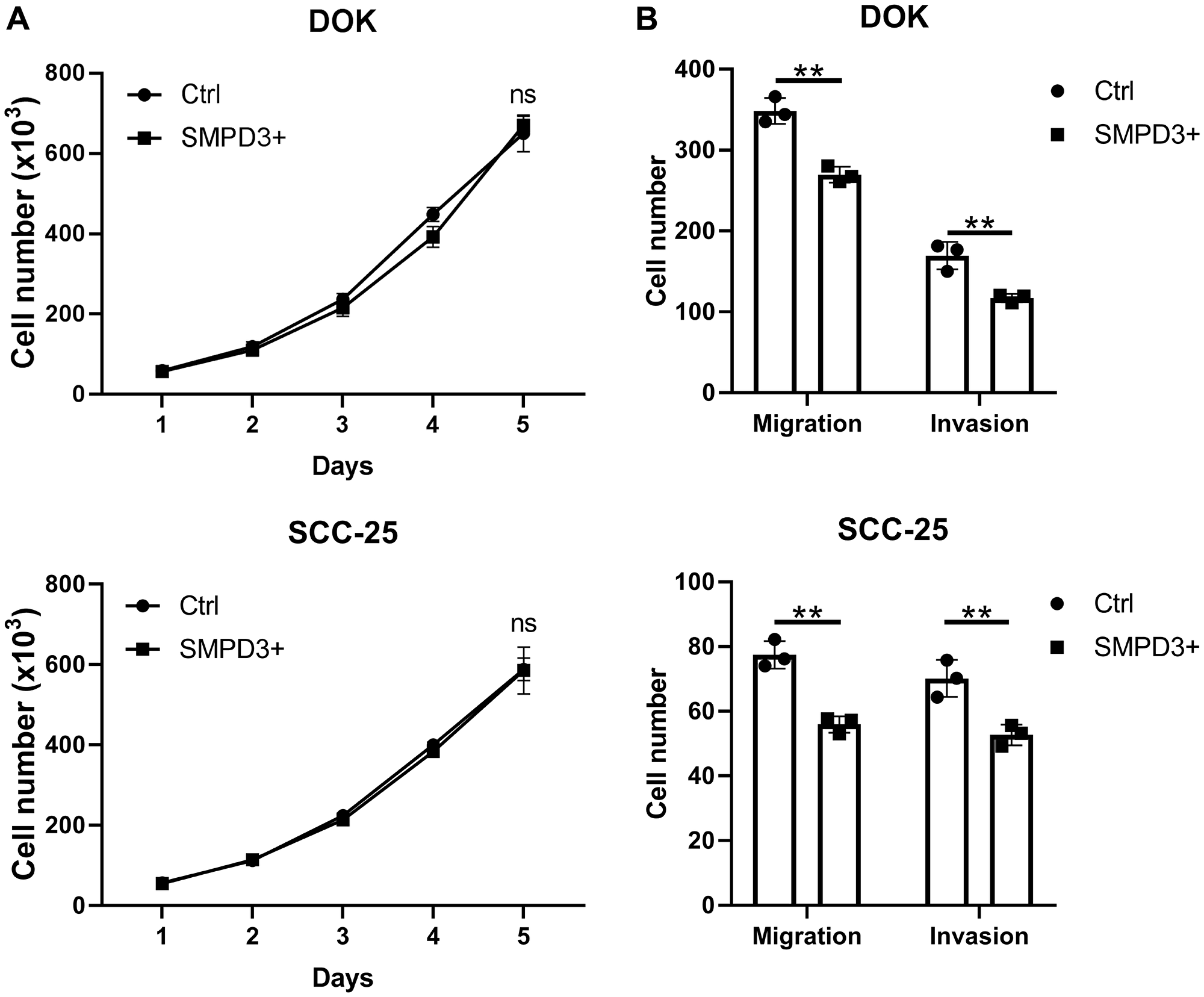 SMPD3 overexpression has no effect on proliferation but decreases migration and invasion of oral dysplasia and cancer cell lines