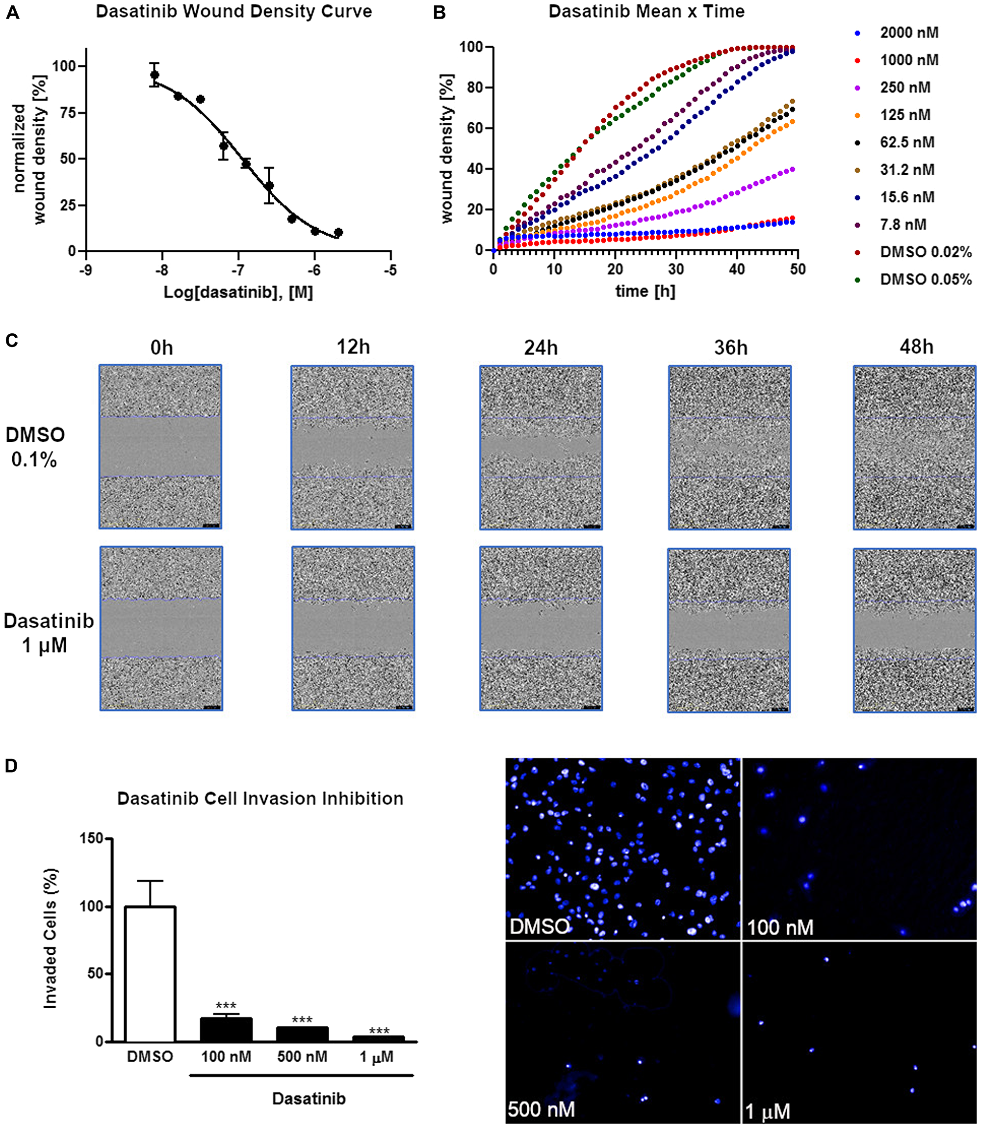 Inhibition of cell invasion and migration of AGP-01 cells by dasatinib