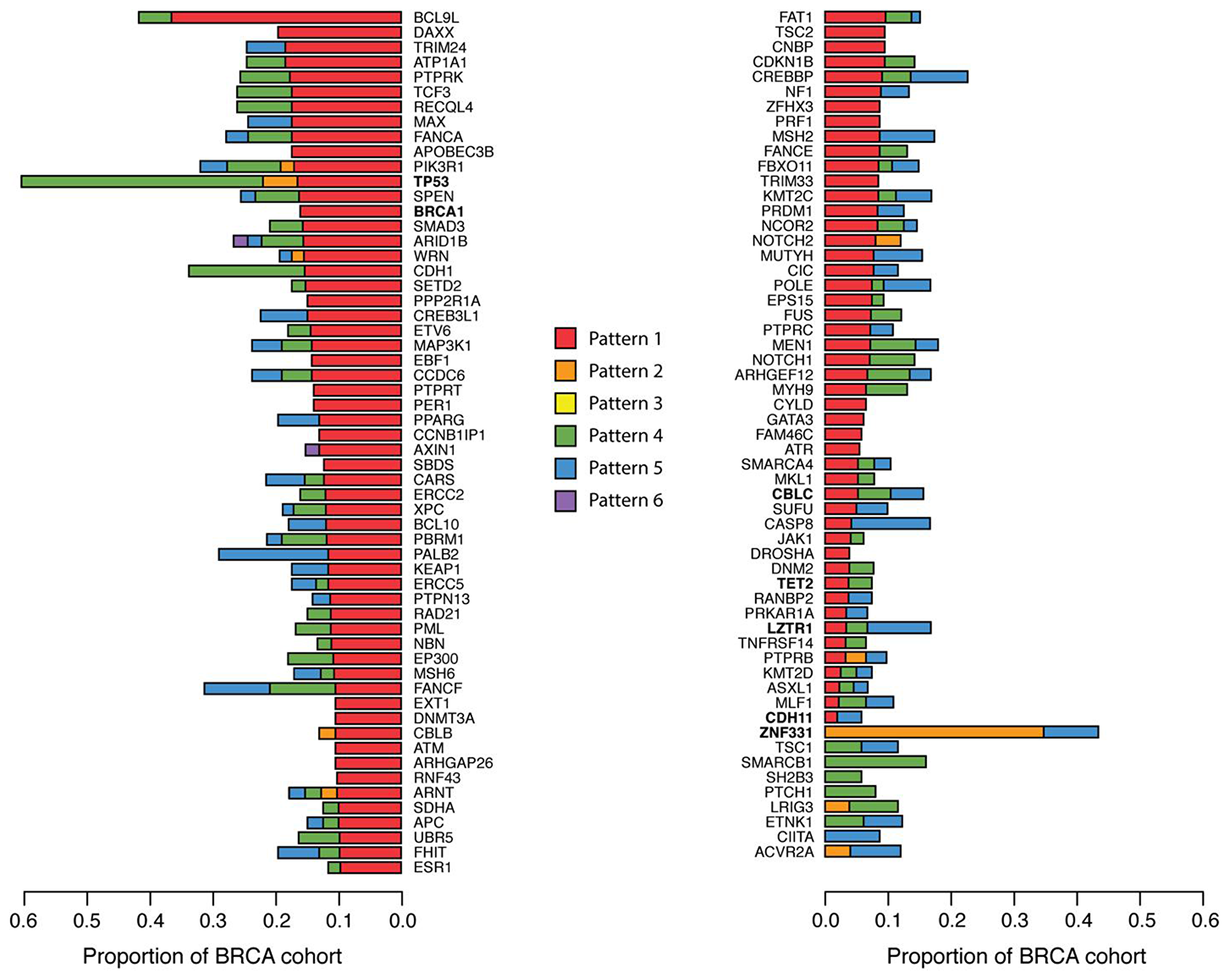 Tumor suppressor genes with ASE in breast cancer patients