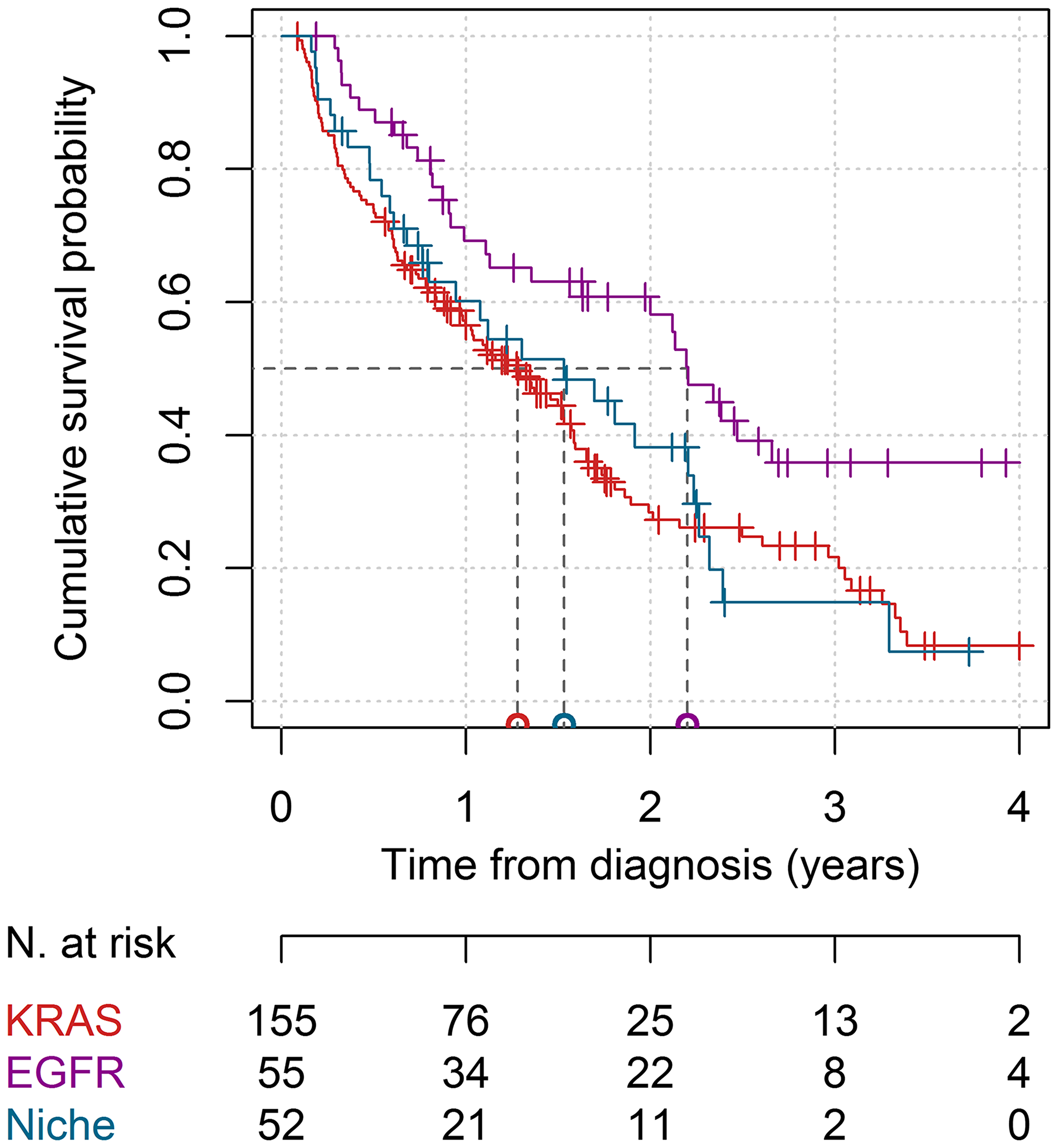 Figure 2: Survival curves in the KRAS, EGFR, and niche mutations cohorts.