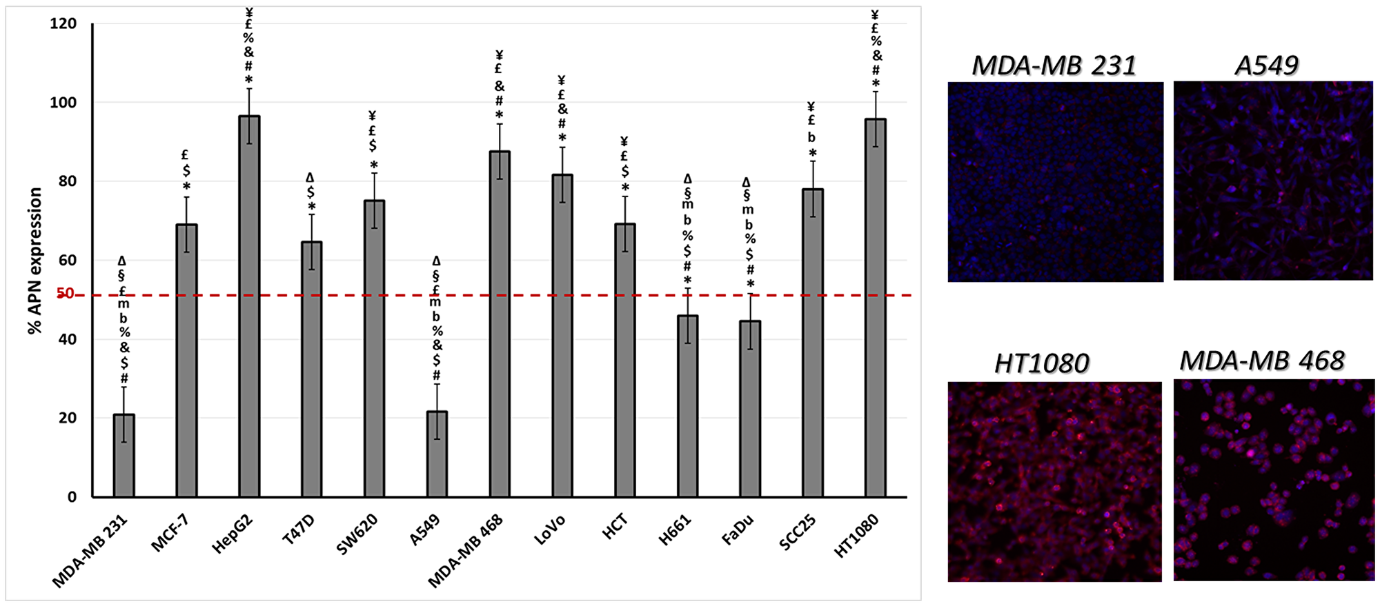 The levels of APN expression in various cancer cell lines