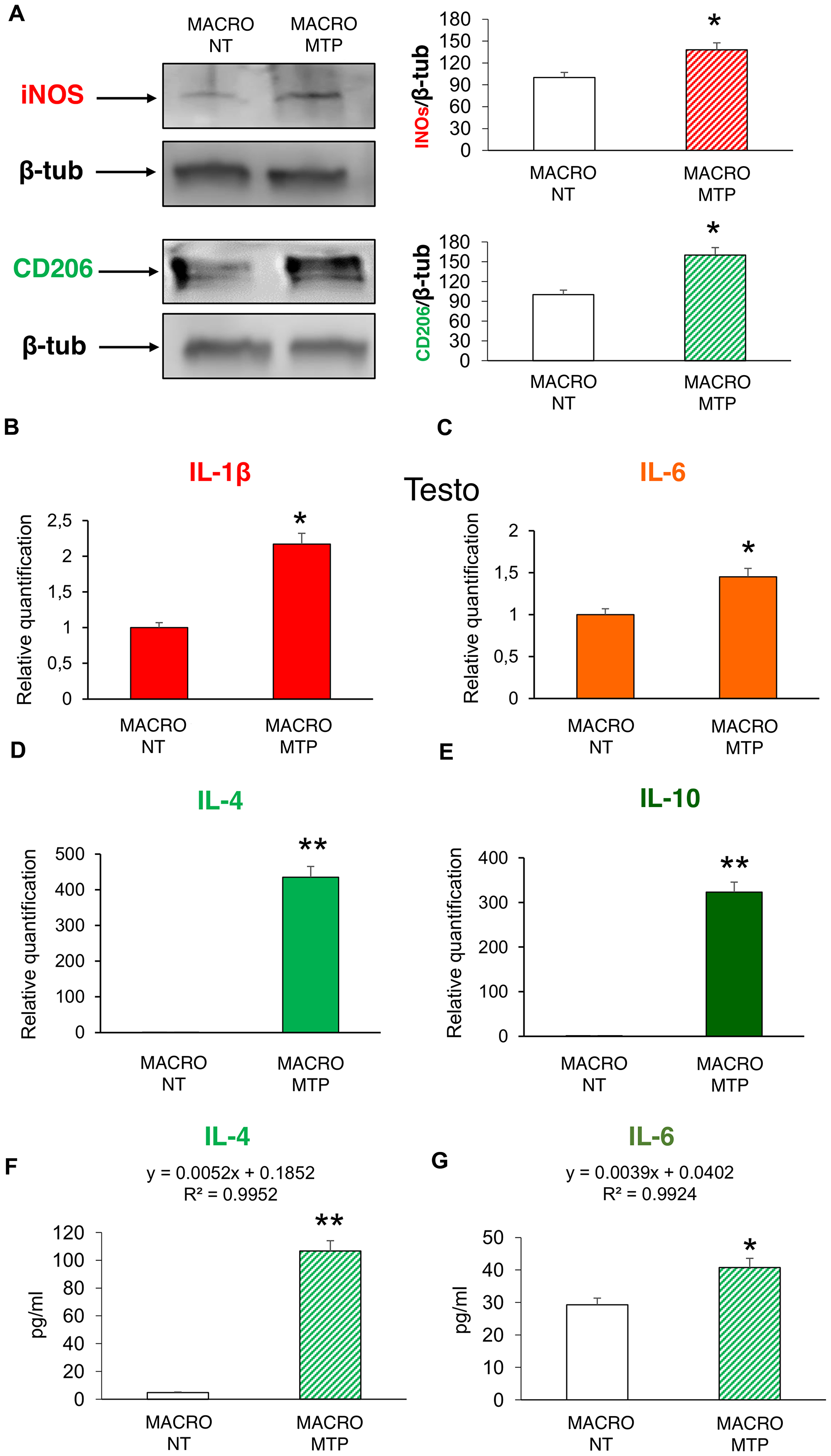 Effects of Mifamurtide (MTP) on macrophage polarization