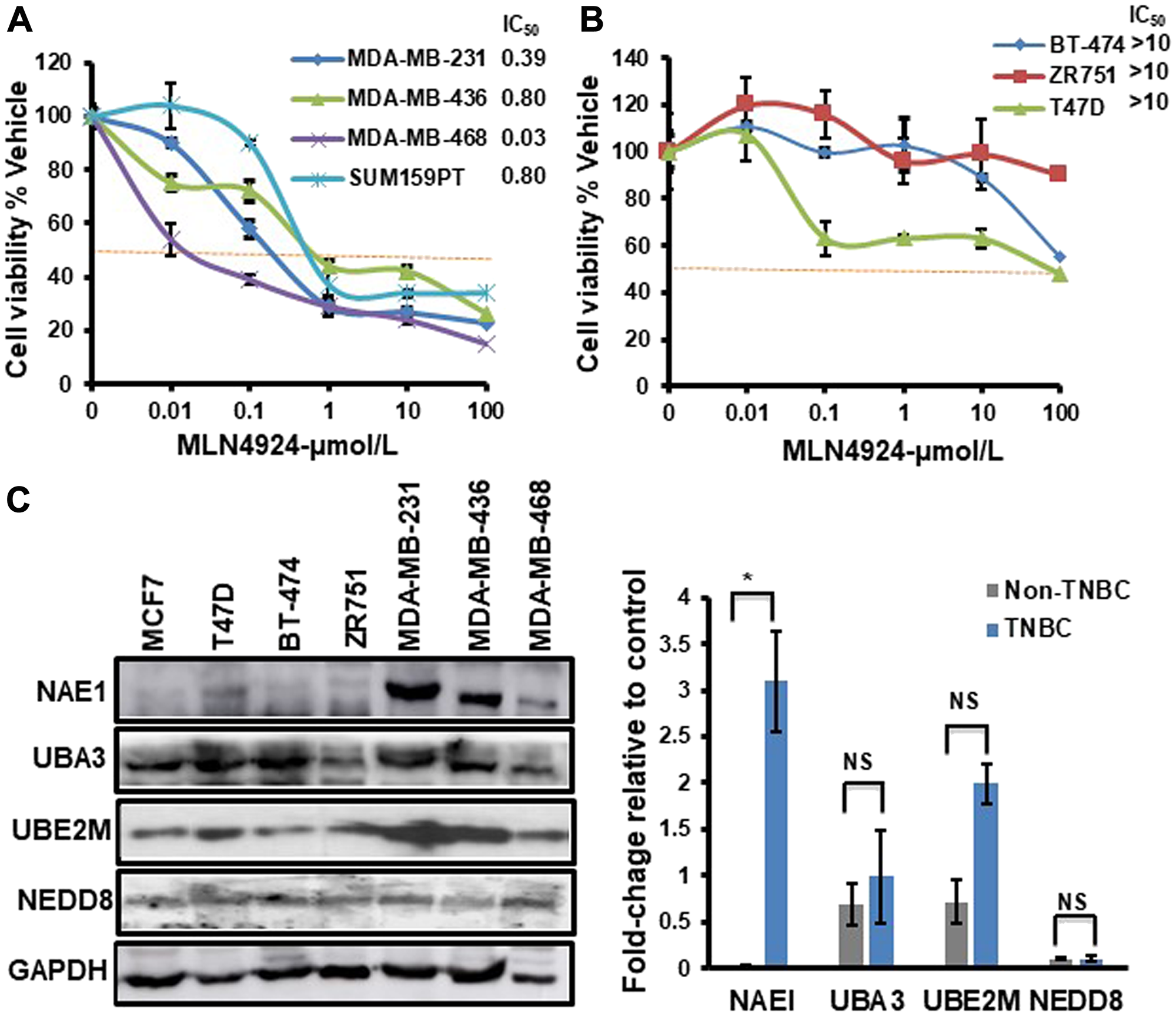TNBC cells show increased sensitivity to MLN4924 compared to non-TNBC cells and overexpress NAE1