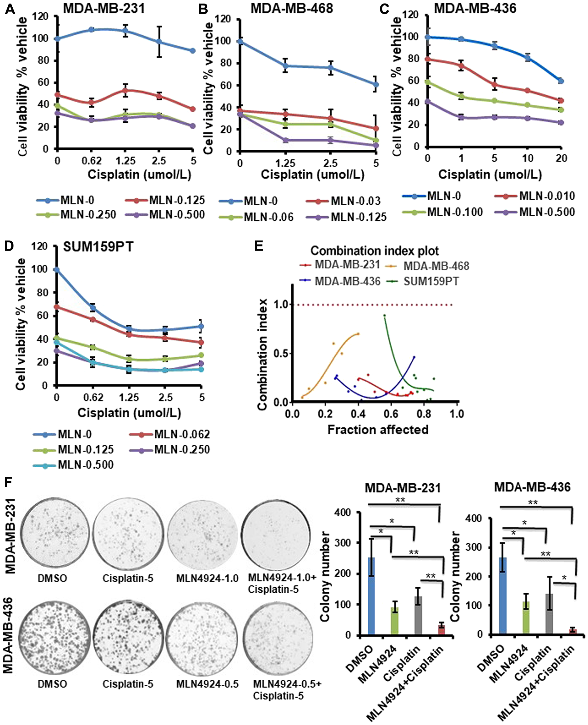 MLN4924 shows enhanced sensitization of both BRCA1- wild type and -mutant TNBC cells when combined with cisplatin