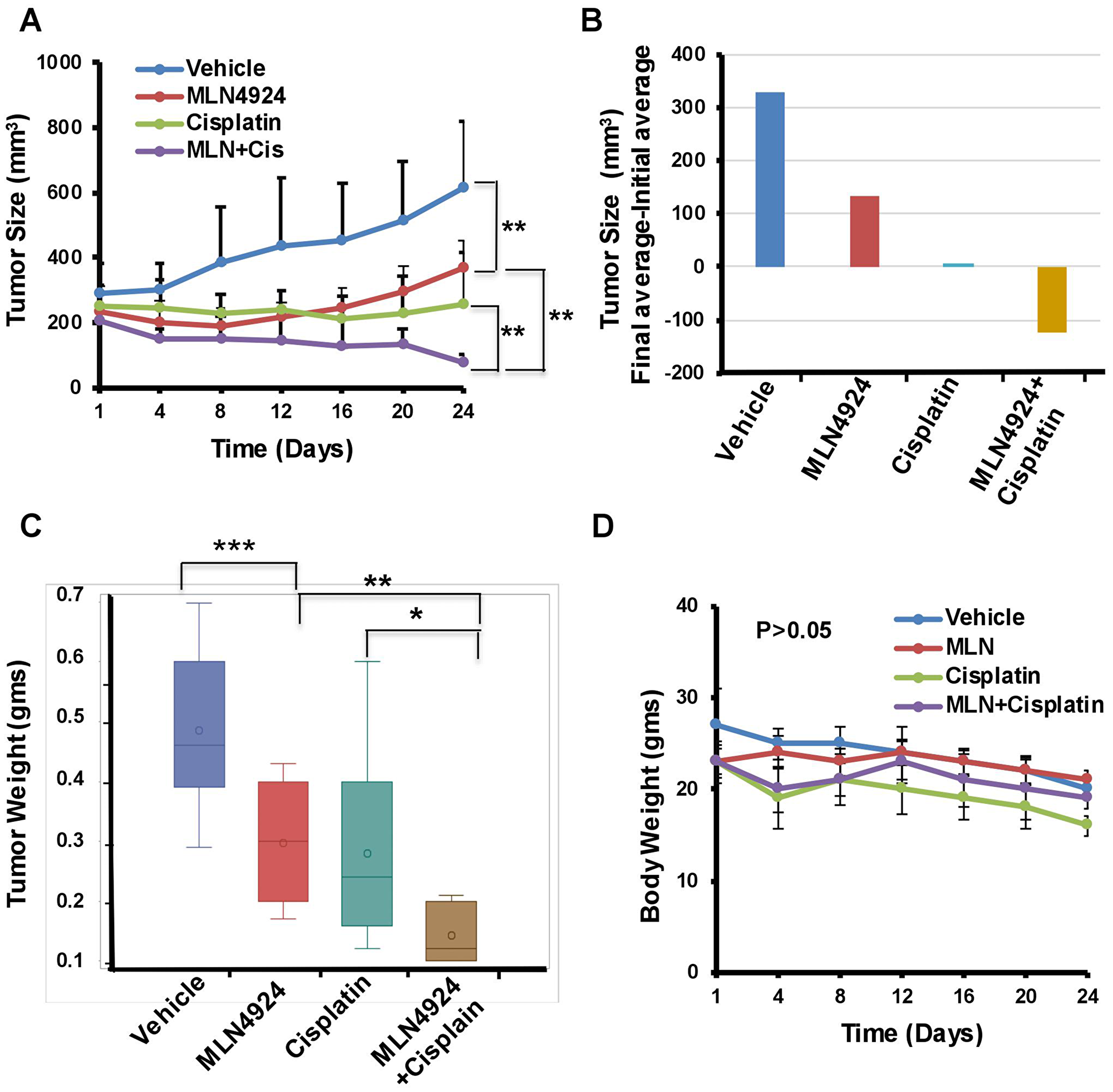 MLN4924 and cisplatin inhibit growth and MLN4924/cisplatin reduces the size of TNBC xenograft tumors