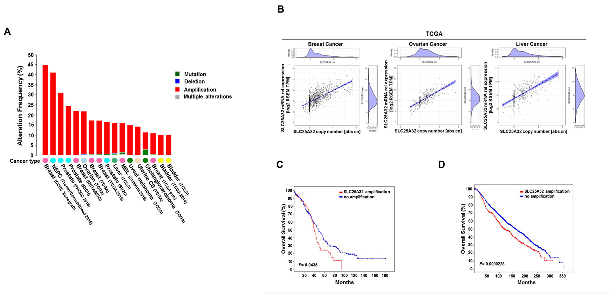Figure 1: Genetic alterations of SLC25A32 reduce survival of cancer patients.