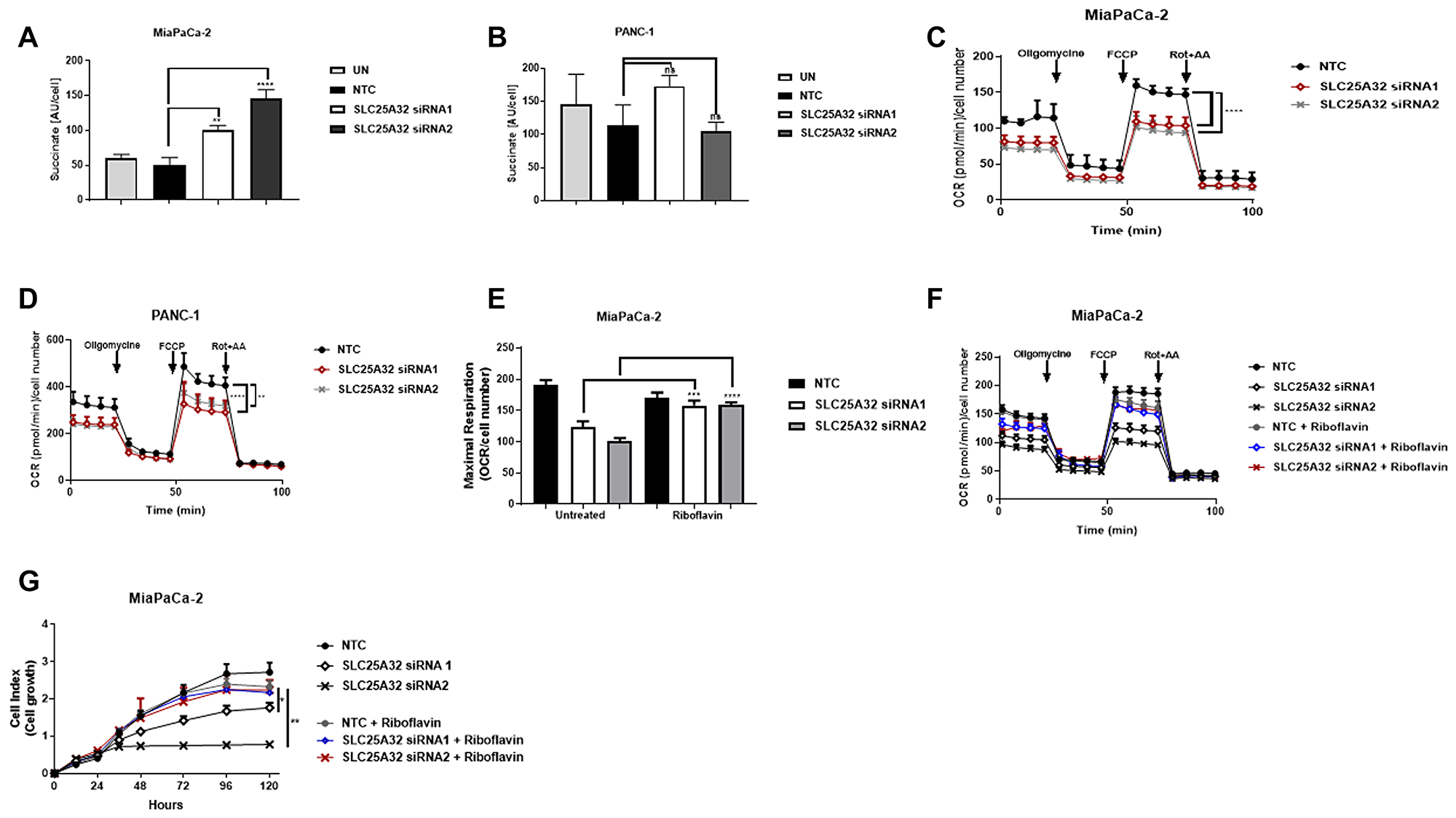 SLC25A32 knock-down impairs mitochondrial FAD metabolism