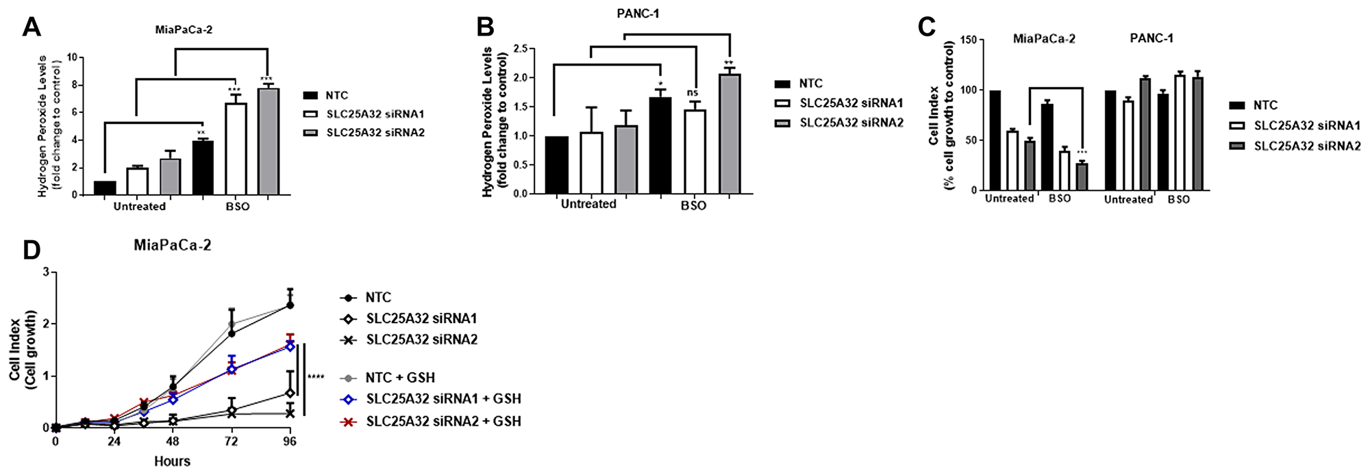 ROS-inducer BSO further sensitizes MiaPaCa-2 cells to SLC25A32 inhibition