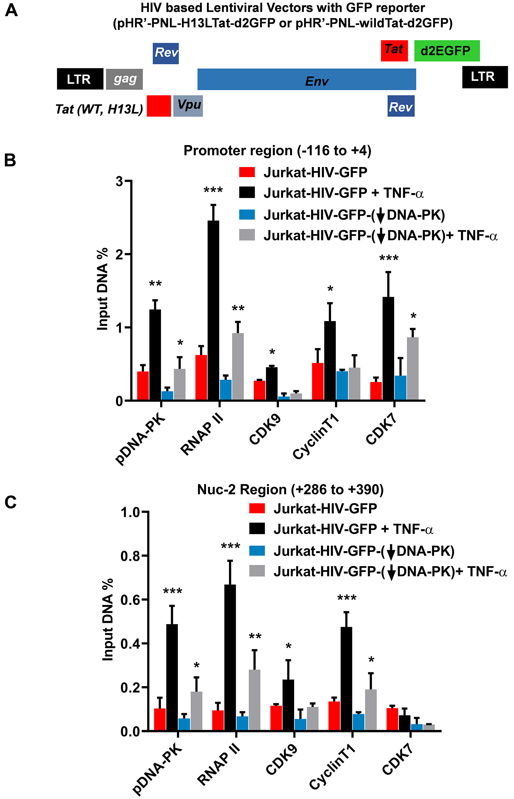 DNA-PK facilitates the recruitment of P-TEFb at HIV LTR