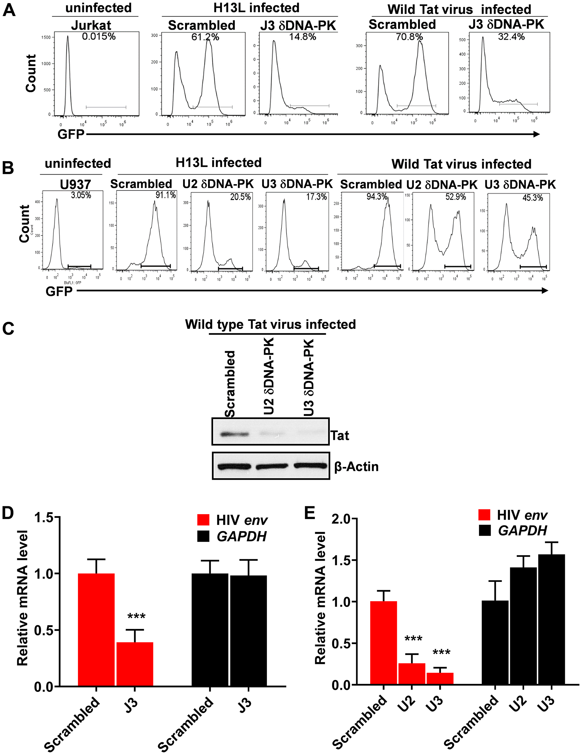 DNA-PK plays a vital role in HIV gene expression