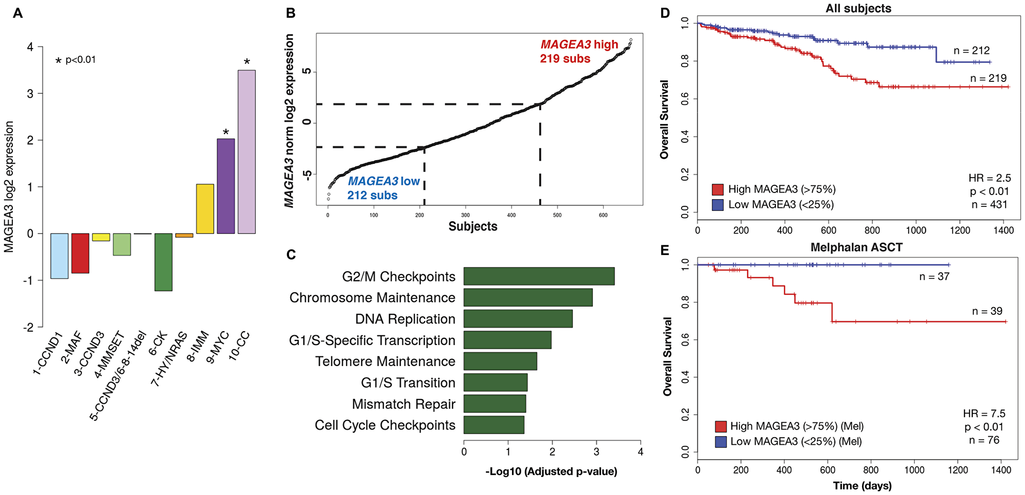 MAGEA3 expression is associated with cell cycling, DNA replication/repair, and poor prognosis