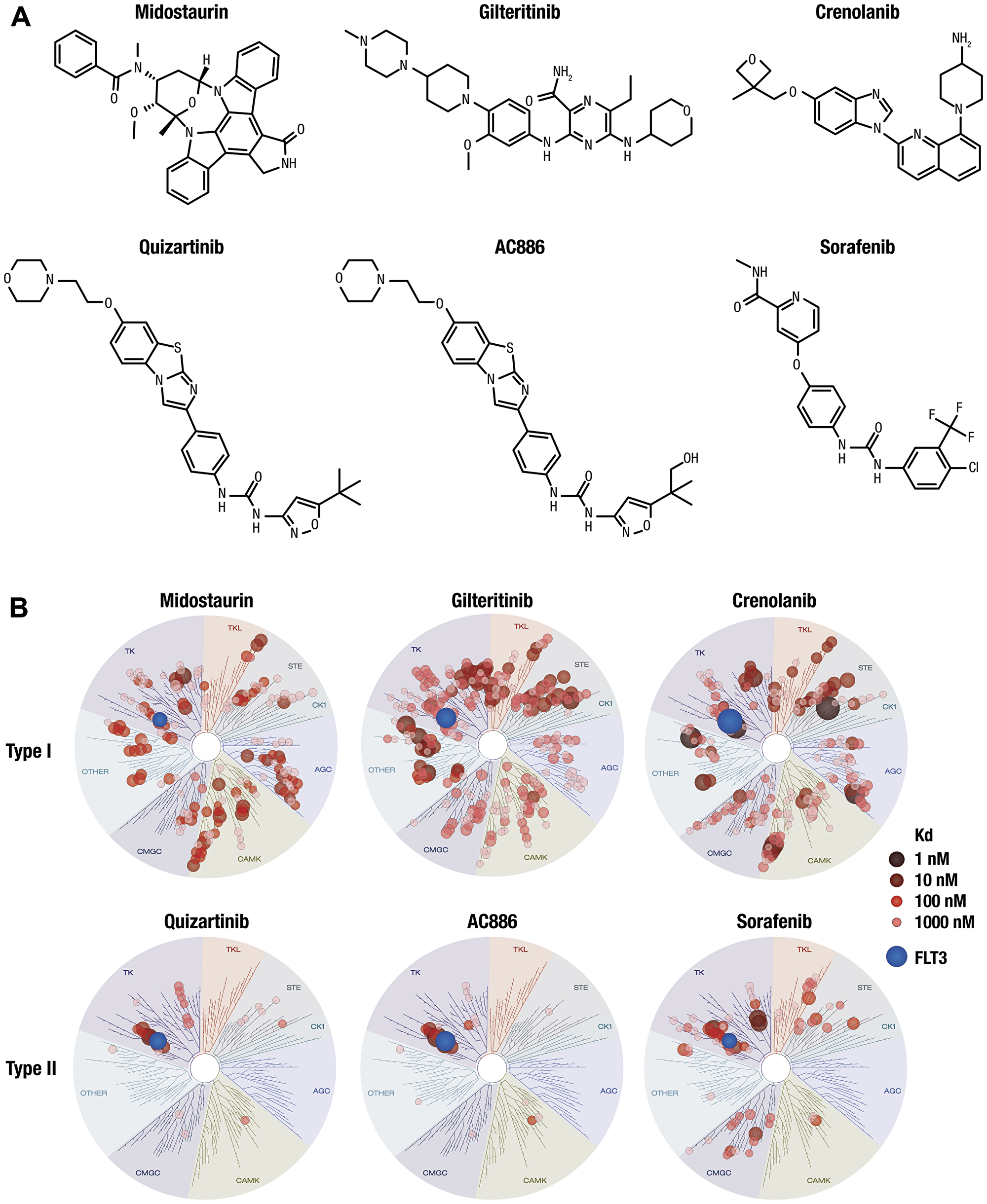Chemical structure and kinase selectivity profiling of quizartinib, AC886, and other FLT3 inhibitors