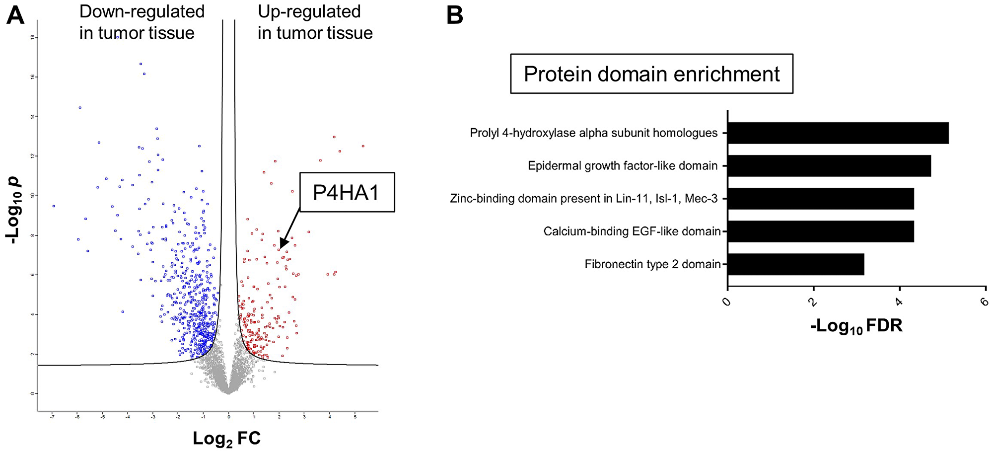 Mass spectrometric proteomics of CRC and global protein domain enrichment analysis