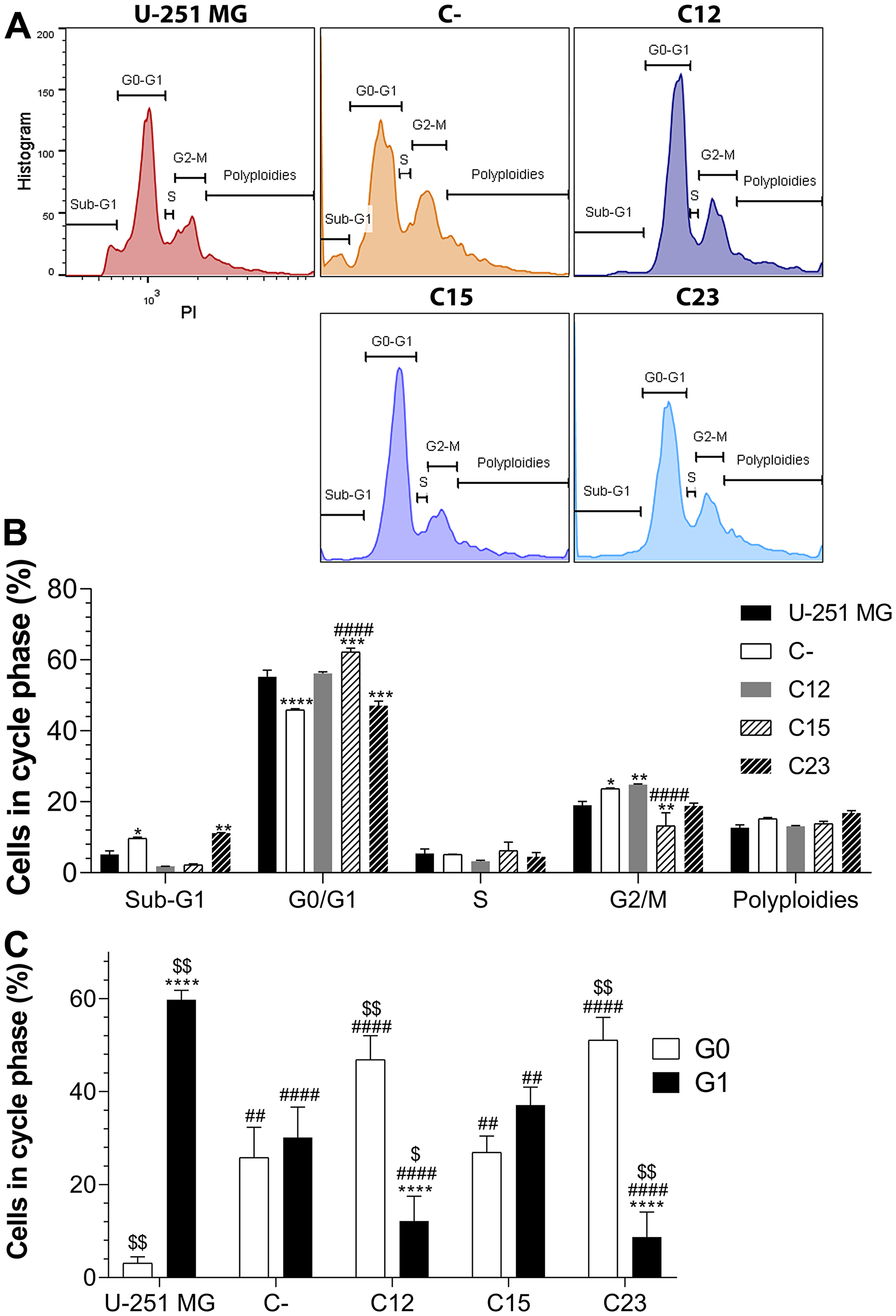 Cell cycle analysis to assess GPC1 influence on GBM