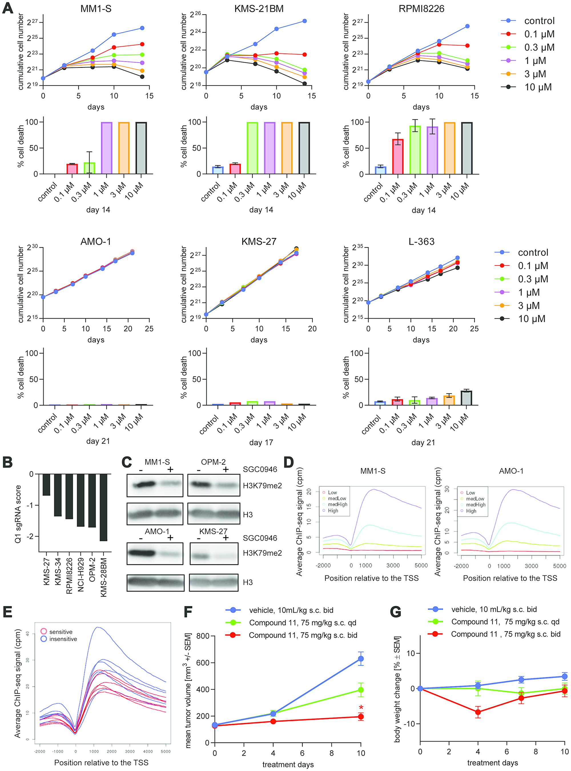 DOT1L inhibition is lethal for a subset of MM cell lines