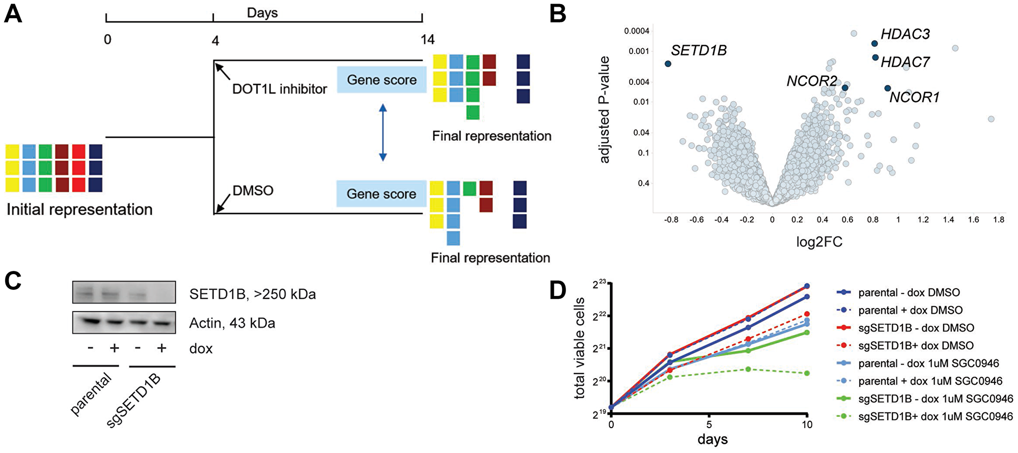 Whole-genome CRISPR screen with or without DOT1L inhibition indicates sensitization by SETD1B inactivation