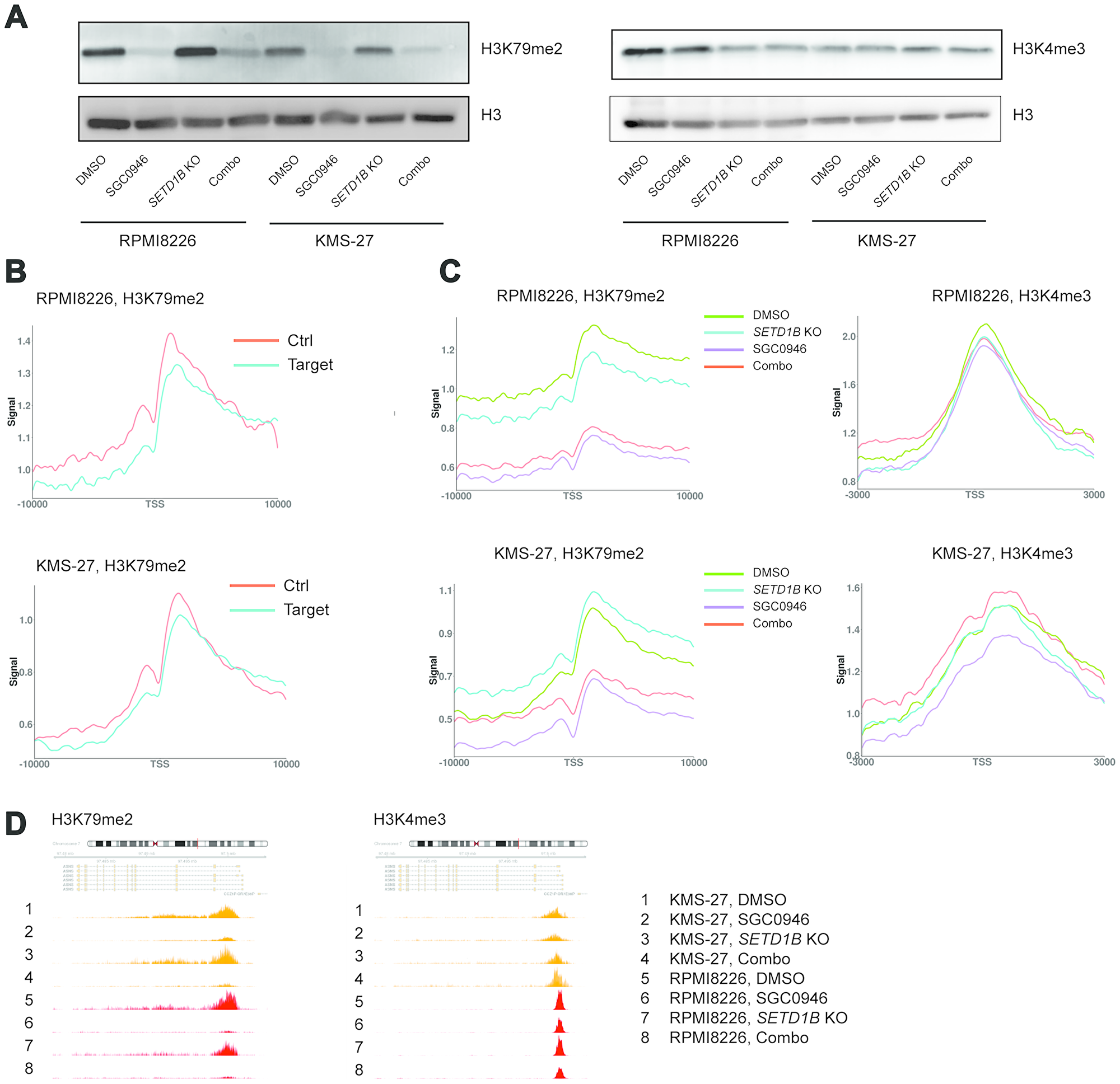 Genome-wide profiles of H3K79me2 and H3K4me3 upon perturbation of DOT1L and SETD1B