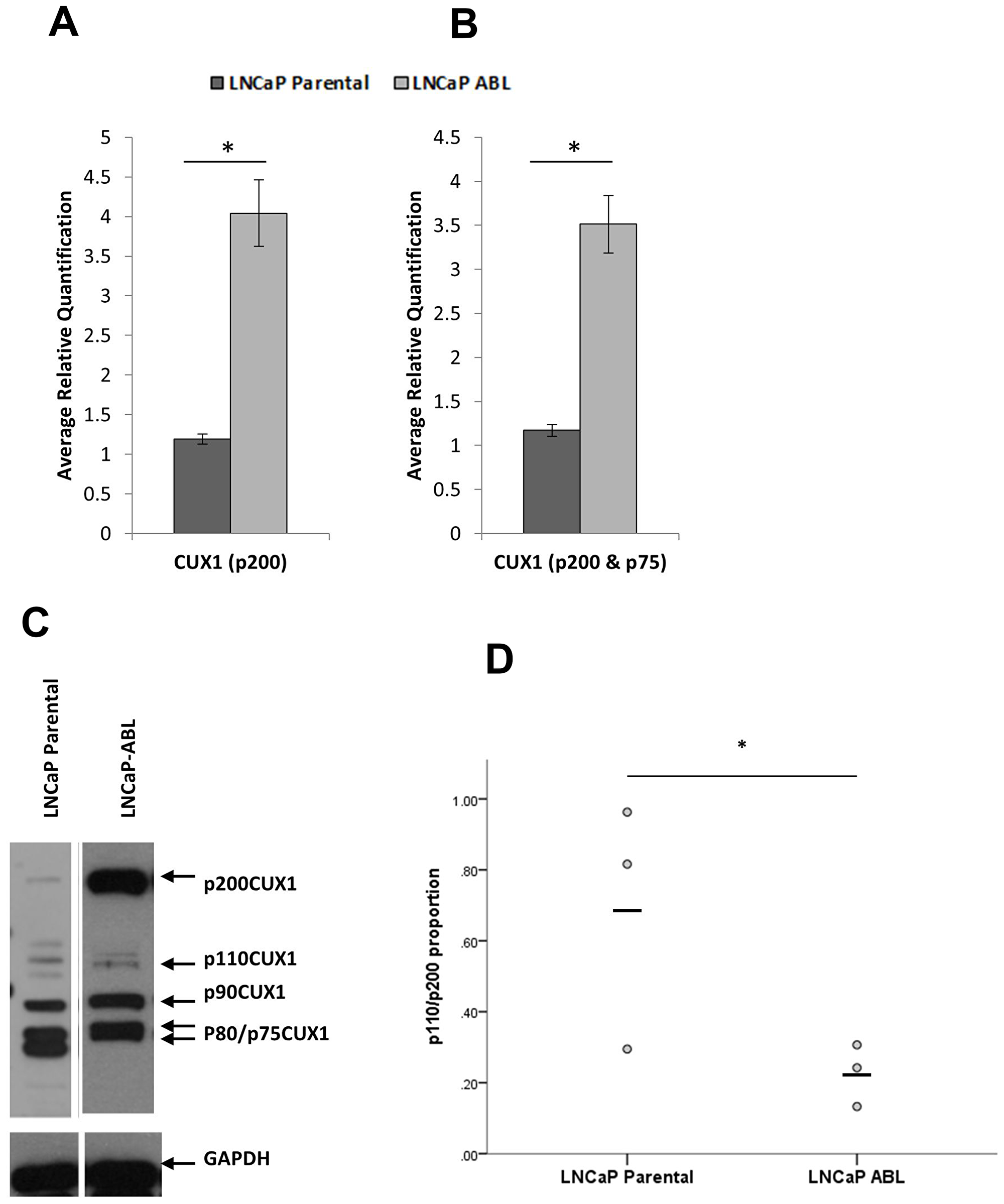 Figure 1: CUX1 is differentially expressed in castrate resistant prostate cancer.