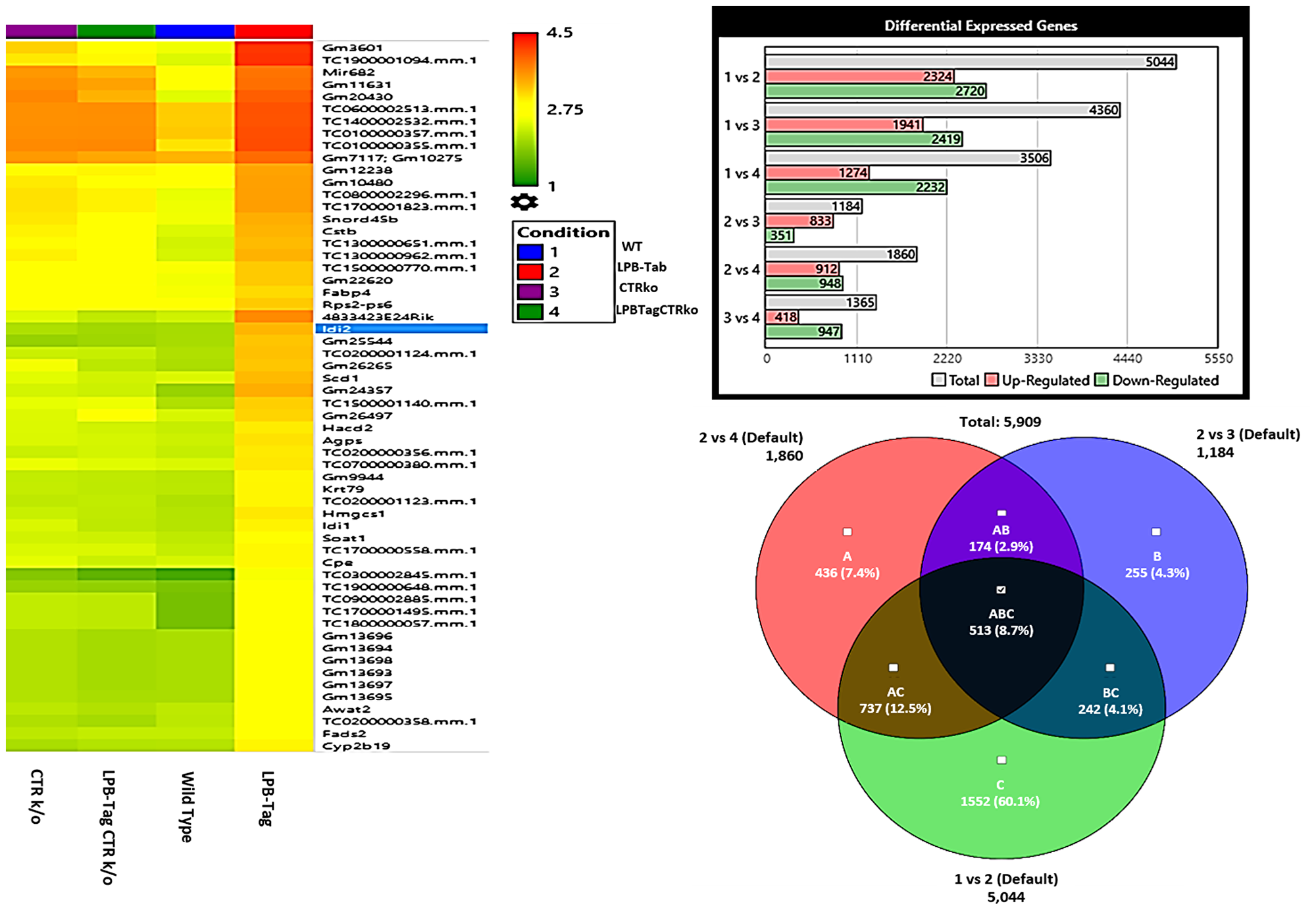 Microarray analysis