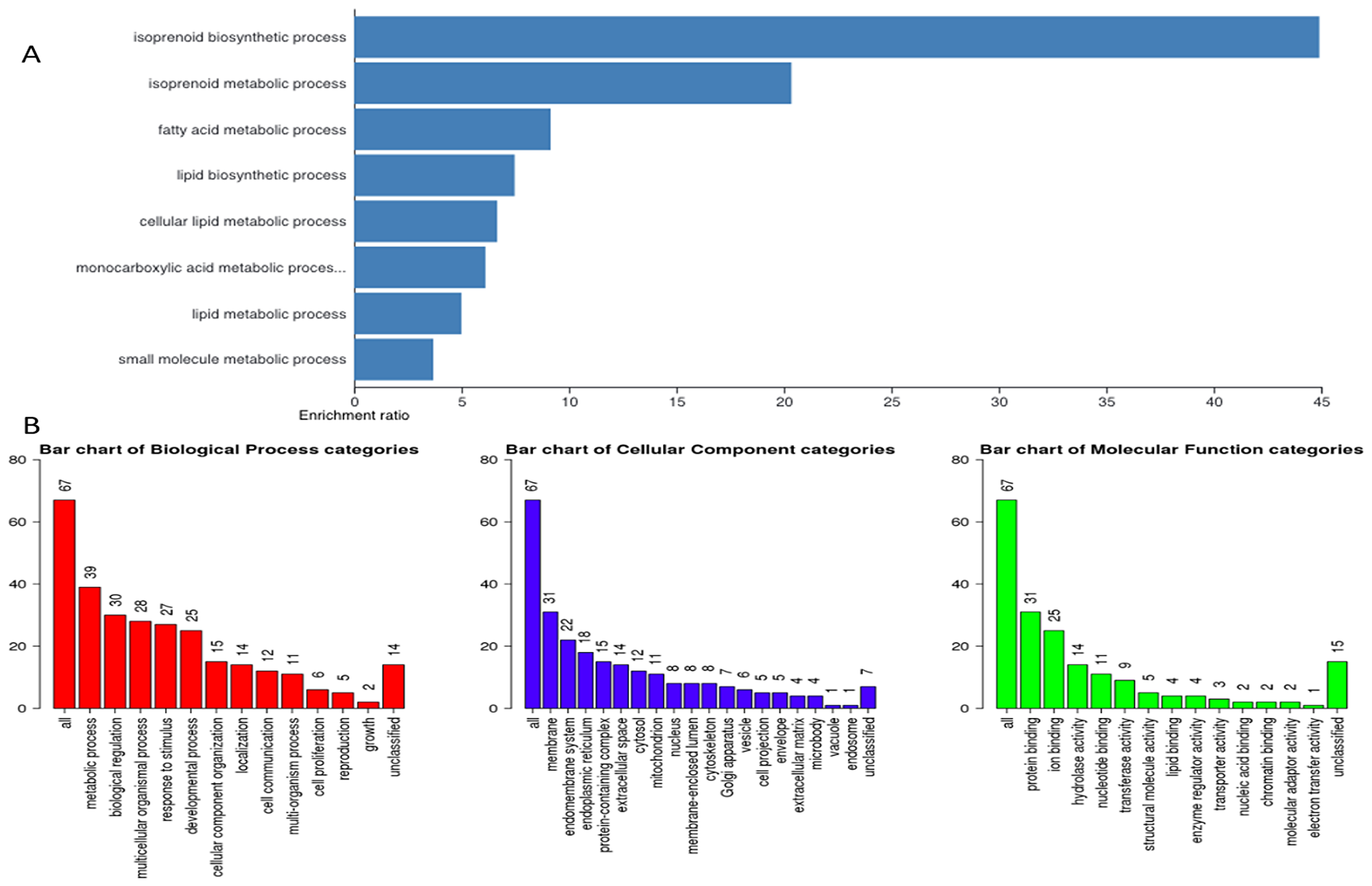 Gene ontology