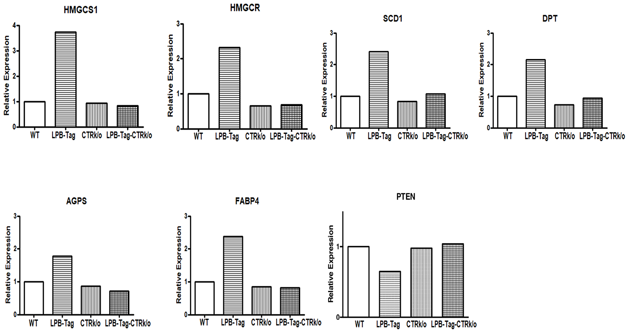 Gene expression of different genes of interest