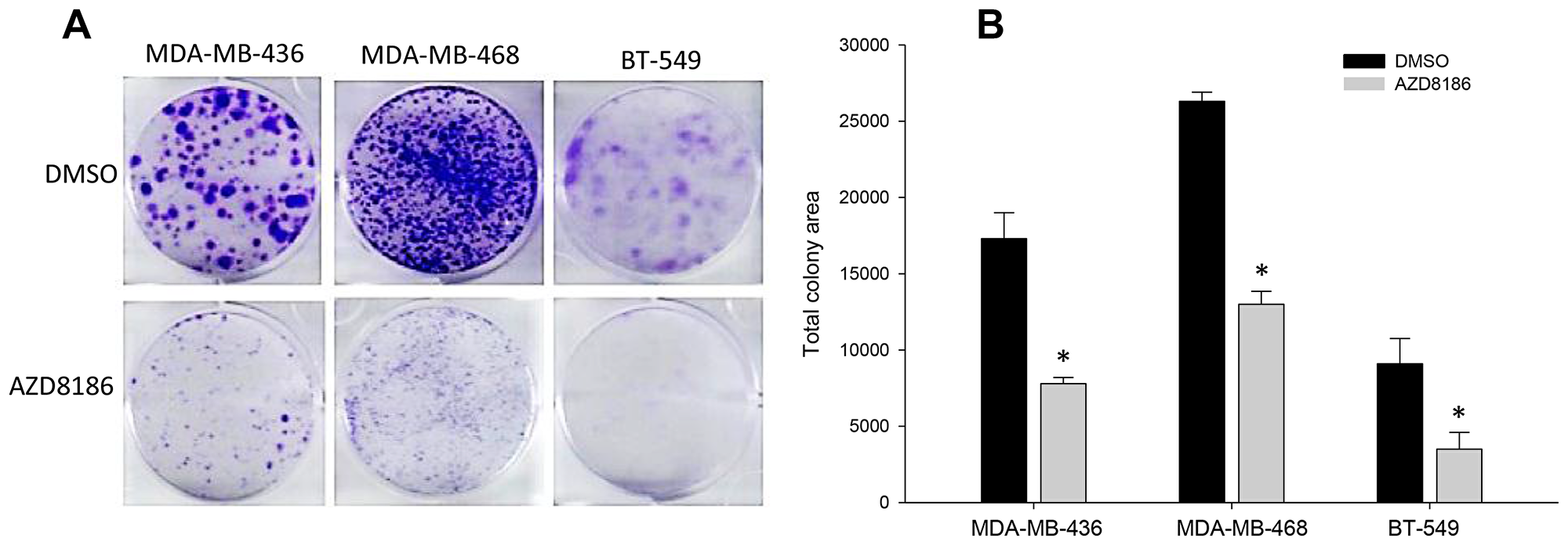 Effect of AZD8186 on colony formation ability