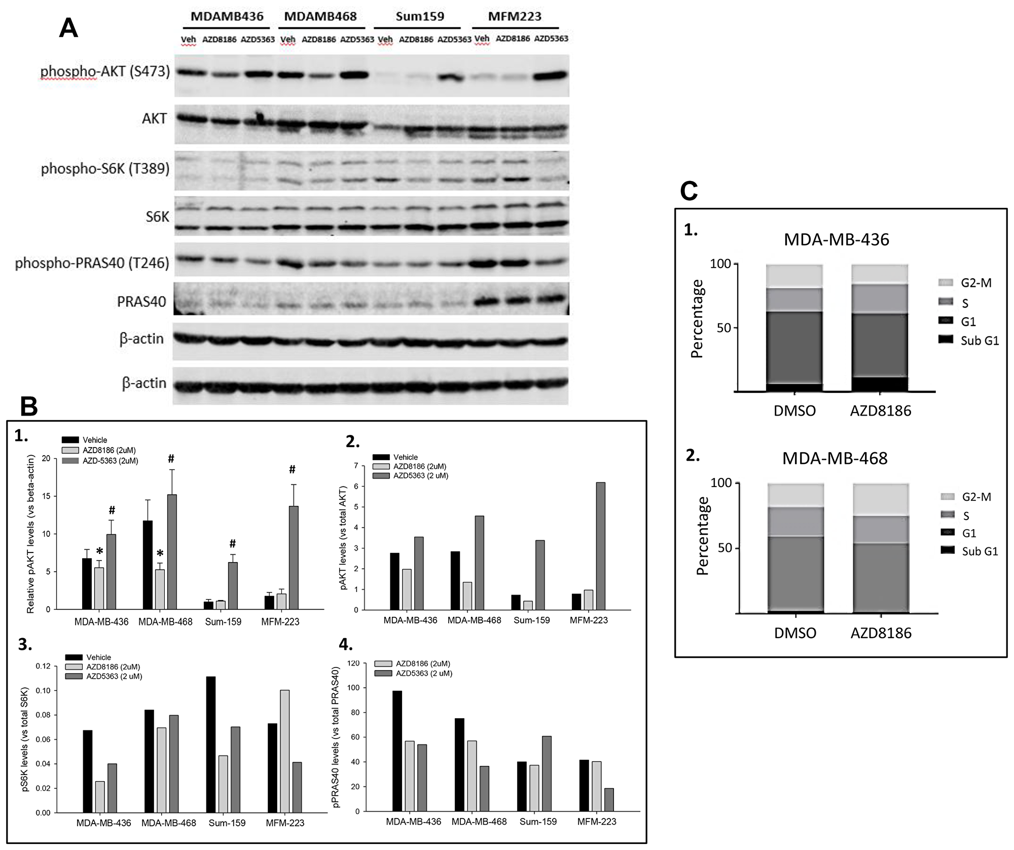 Effects of AZD8186 on cell signaling and cell cycle