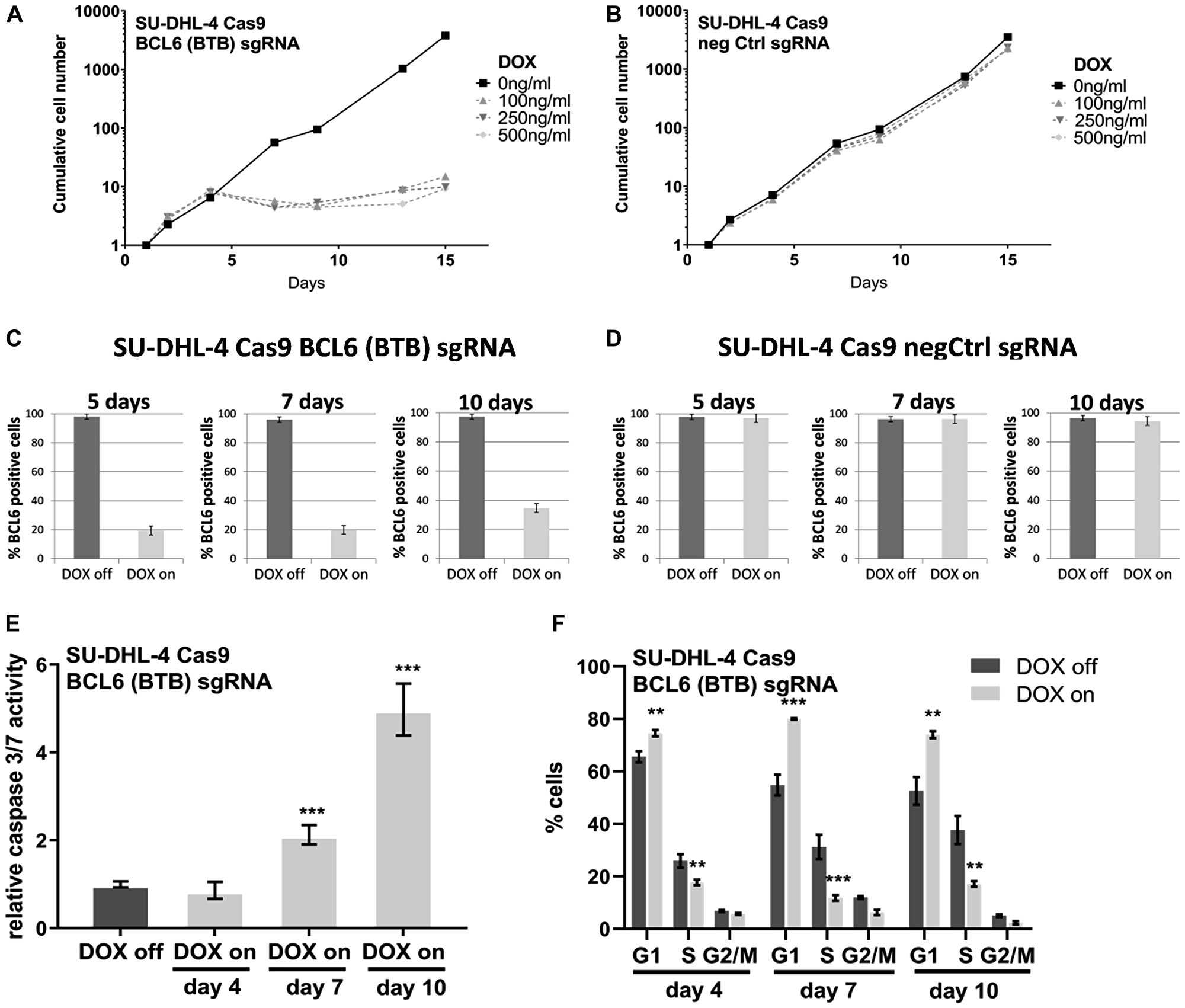 Conditional BCL6 knock-out in SU-DHL-4 in vitro induces anti-proliferative effects
