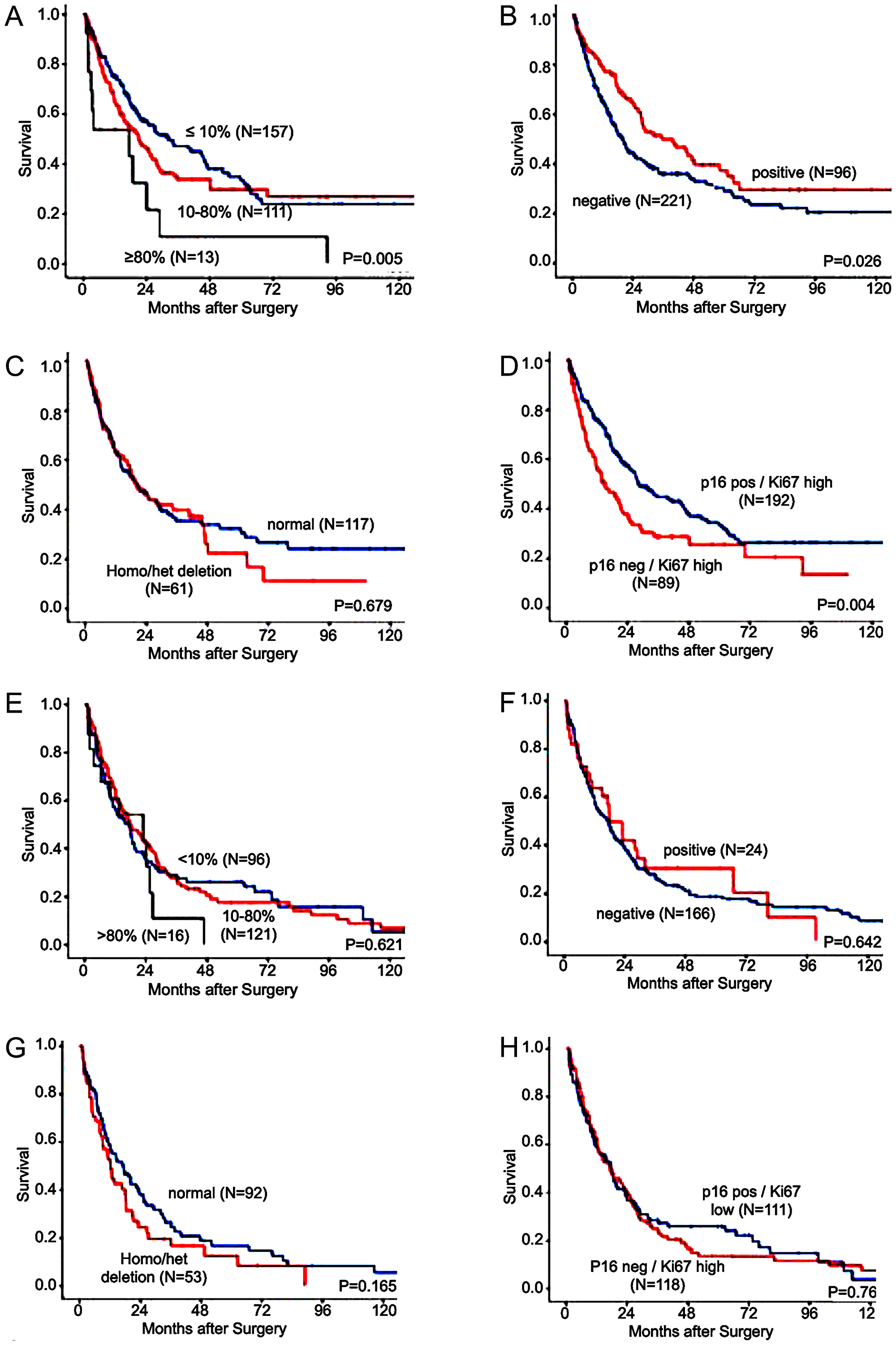 Association of immunohistochemistry (IHC) and fluorescence in-situ hybridization (FISH) results with the median overall-survival in patients with esophageal cancer