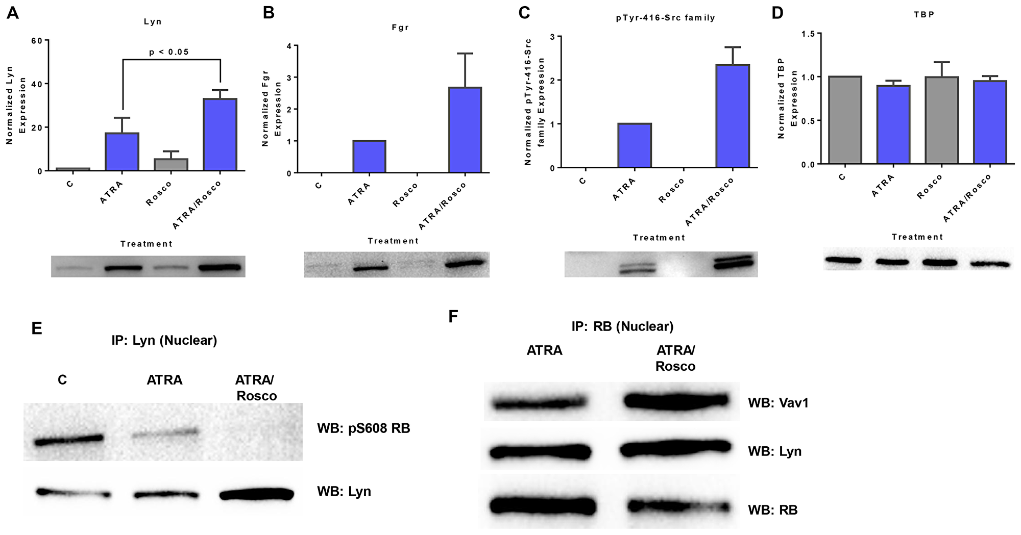 Roscovitine enhances the expression of ATRA-induced enrichment of nuclear Src-family kinase members