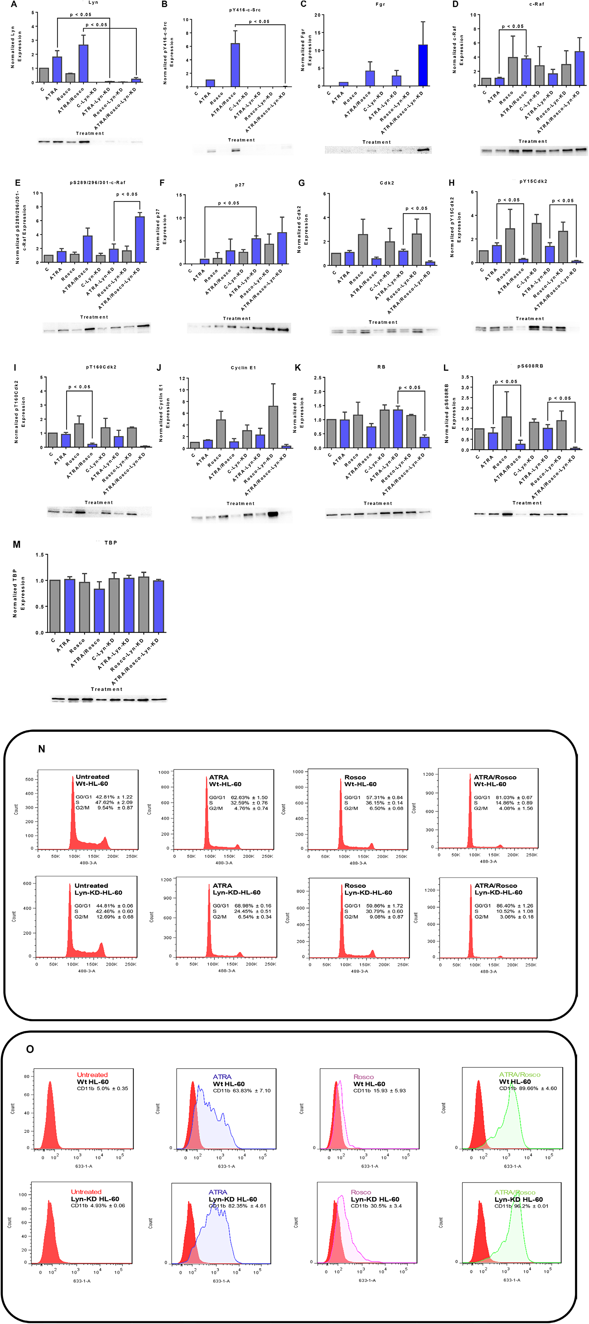 Western blots of nuclear lysate, CD11b and DNA histograms show that Lyn knockdown enhances ATRA-roscovitine induced gene expression and myeloid differentiation