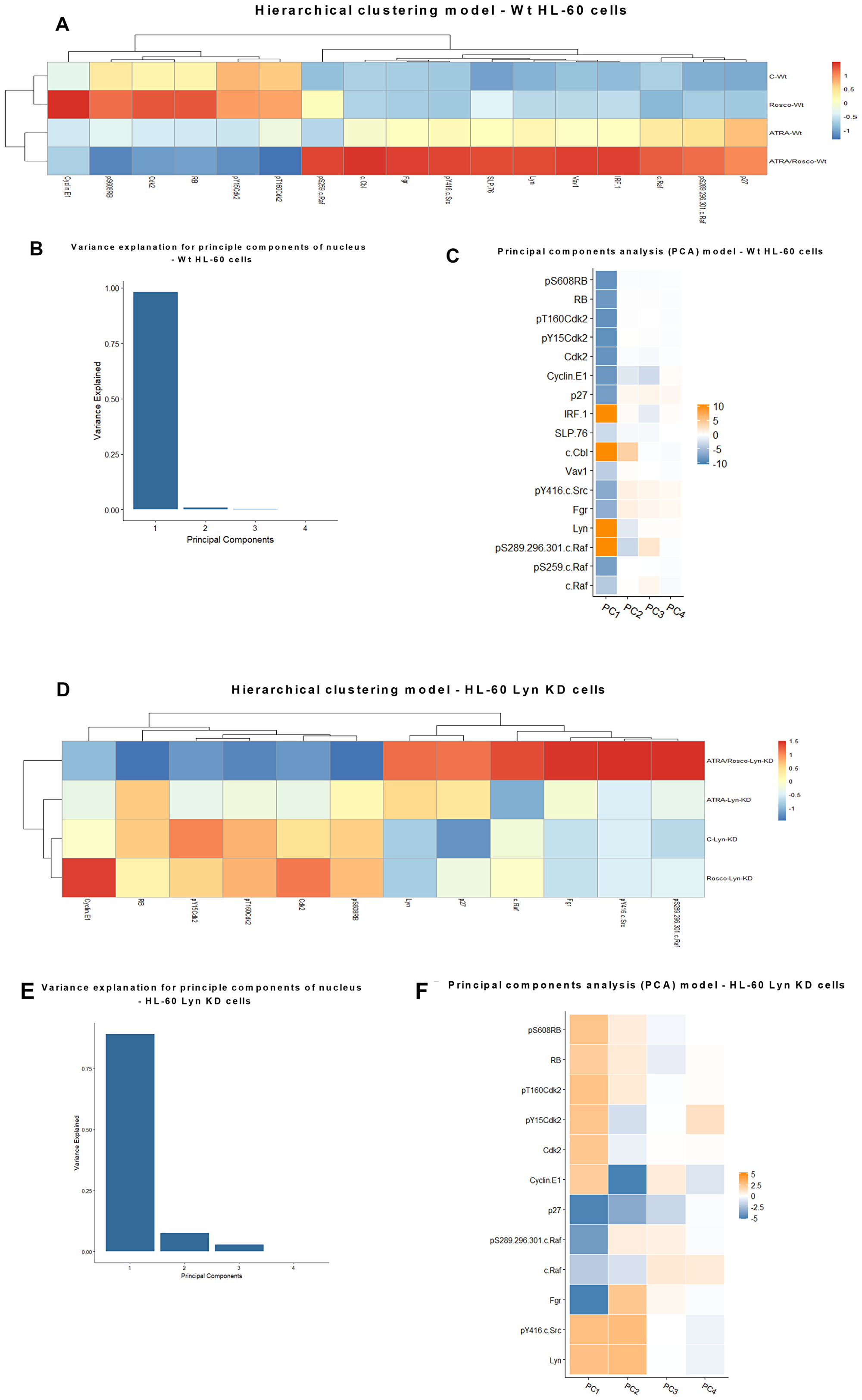 Hierarchical clustering and principal components analysis (PCA) of nuclear protein expression/activation in HL-60 wt and Lyn KD cells