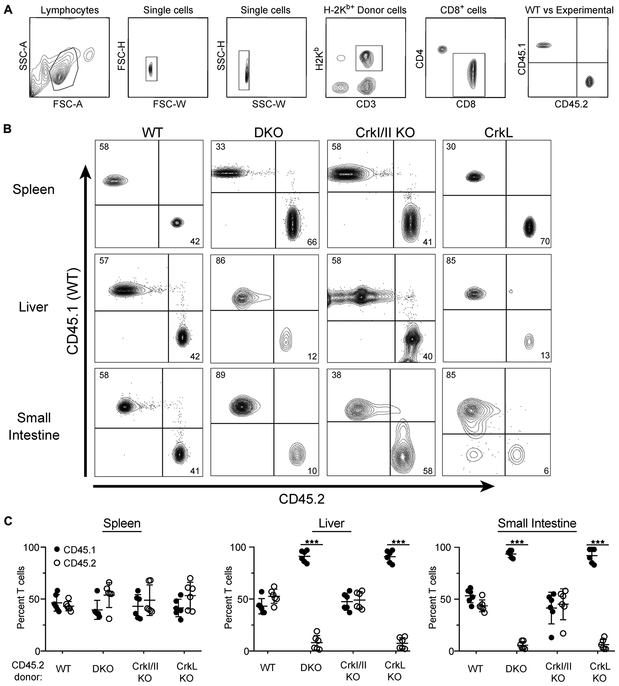 T cell trafficking to GvHD organs required CrkL