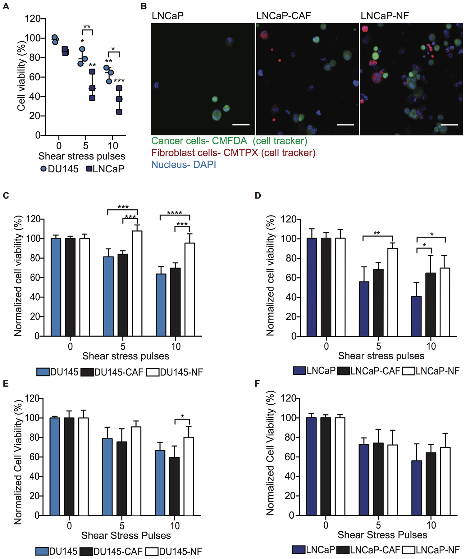 NF induces FSS resistance in metastatic PC cells through intercellular contacts and soluble derived factors