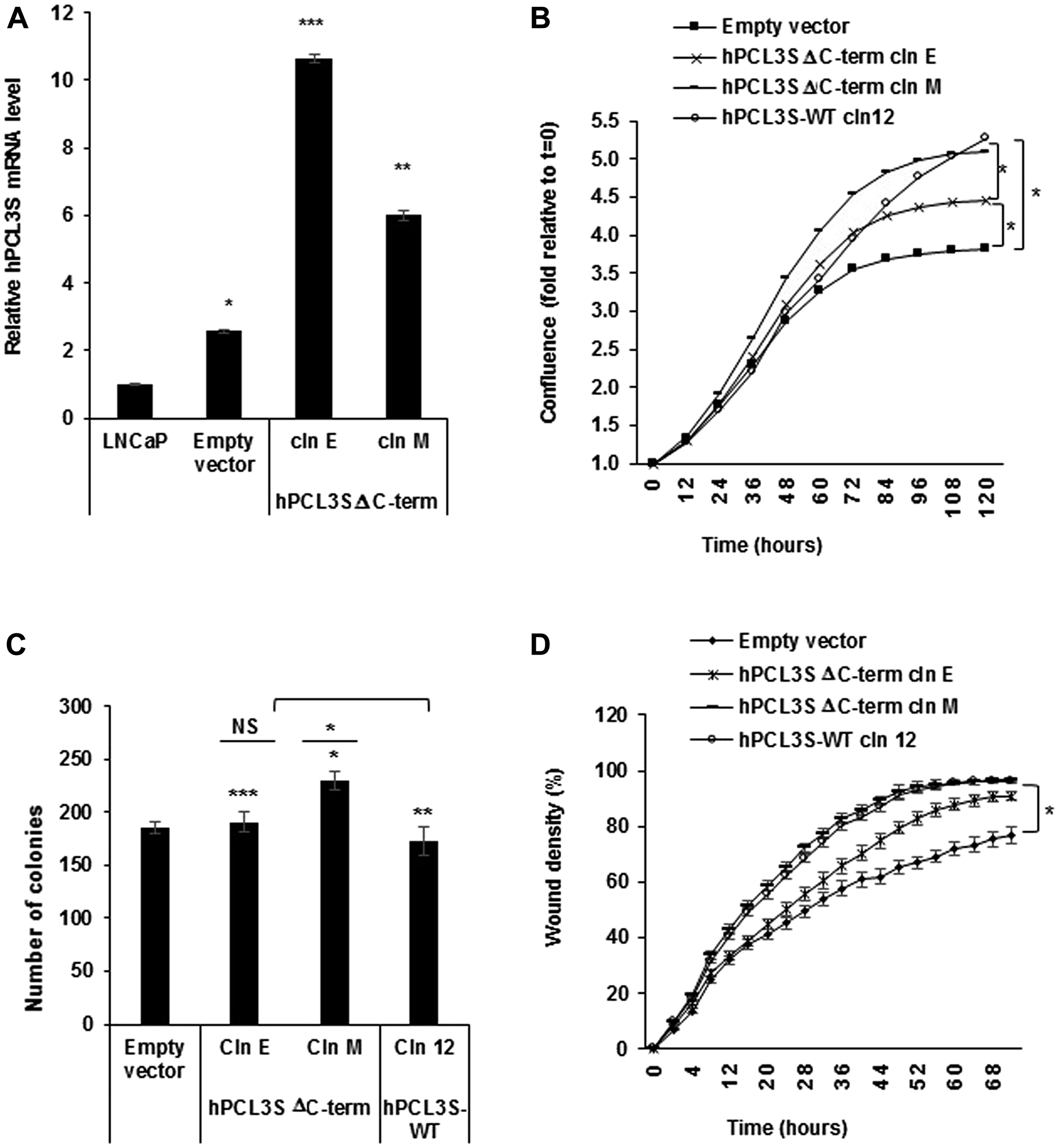 The short (AA 155-207) specific C-terminal end of hPCL3S generated by the alternative polyadenylation mechanism is not essential for the promotion of proliferation and migration