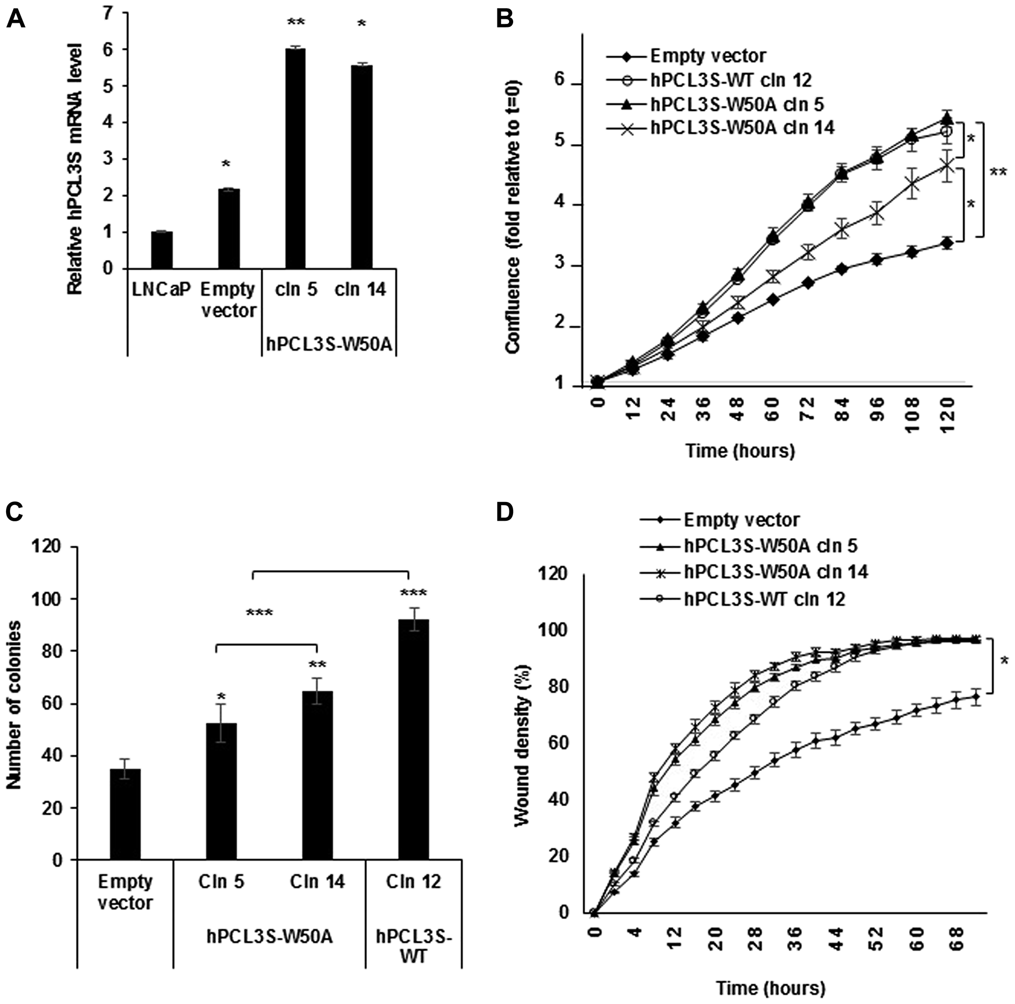 The H3K36me3 binding activity of the hPCL3S TUDOR domain is not required for the promotion of proliferation and migration