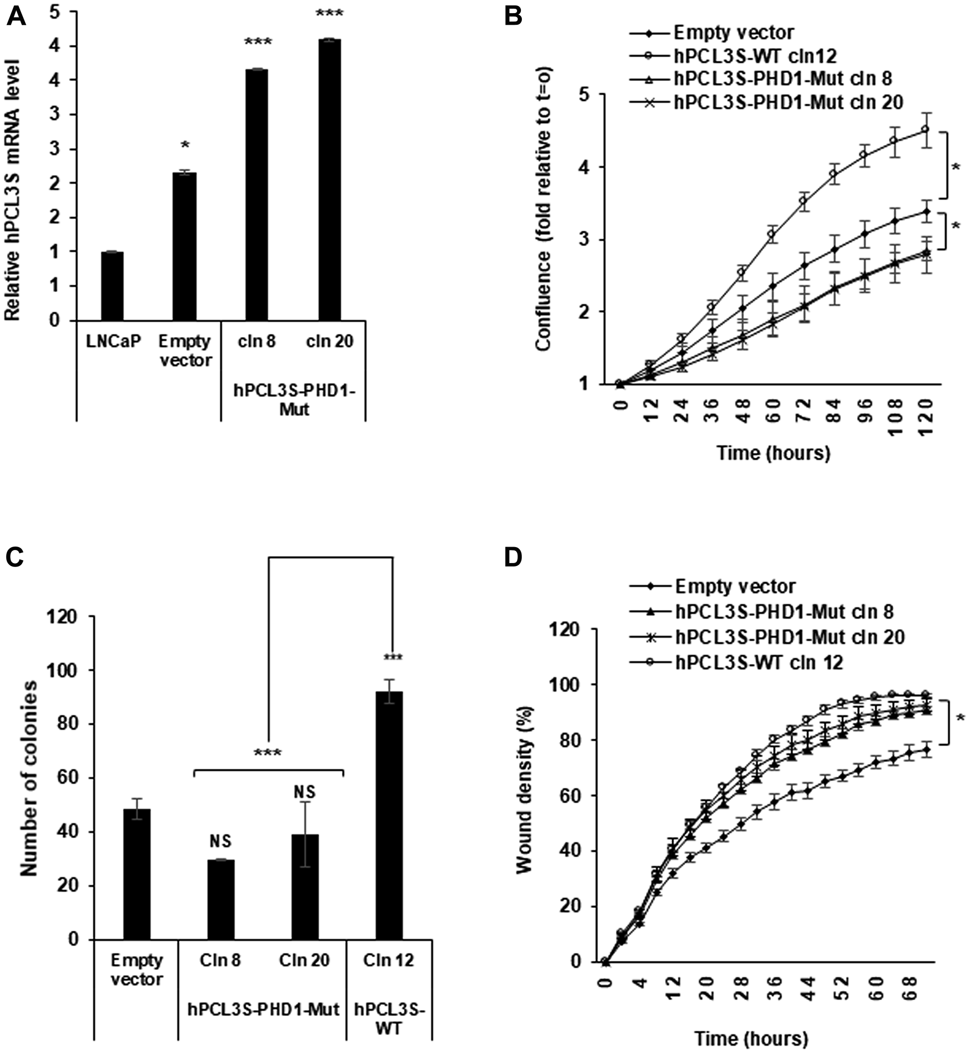 The PHD1 domain is essential for the promotion of proliferation