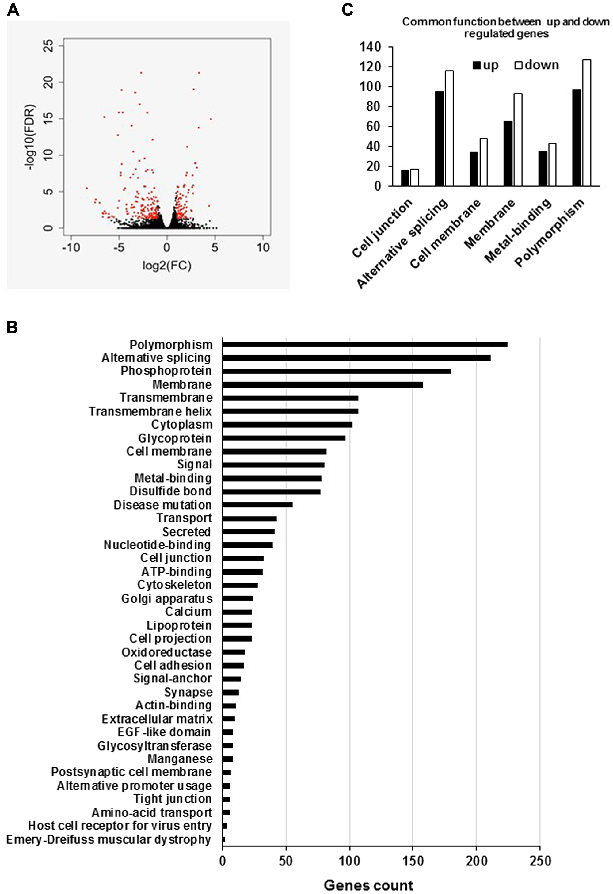 Global analyses of the RNA-Seq data of LNCaP empty vector and LNCaP cells overexpressing hPCL3S (Clone 12)
