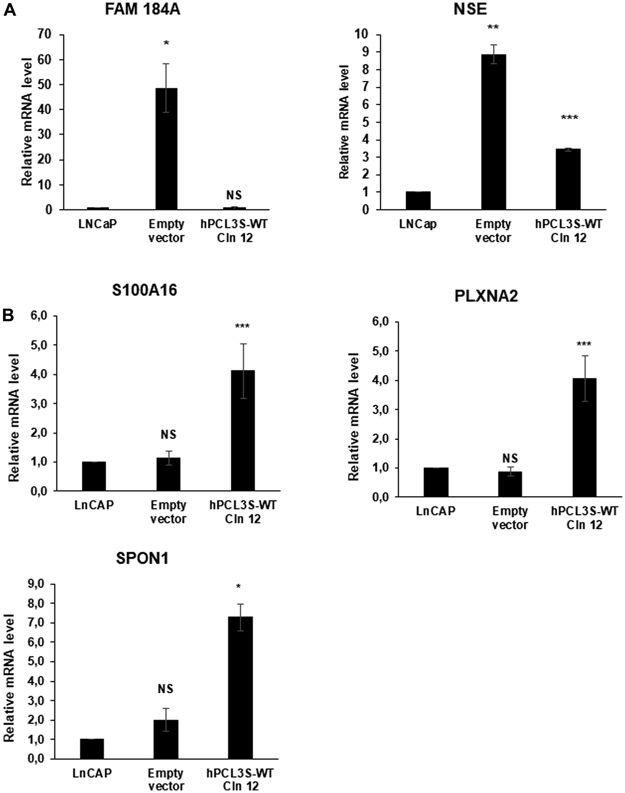 Validation of some differentially expressed genes