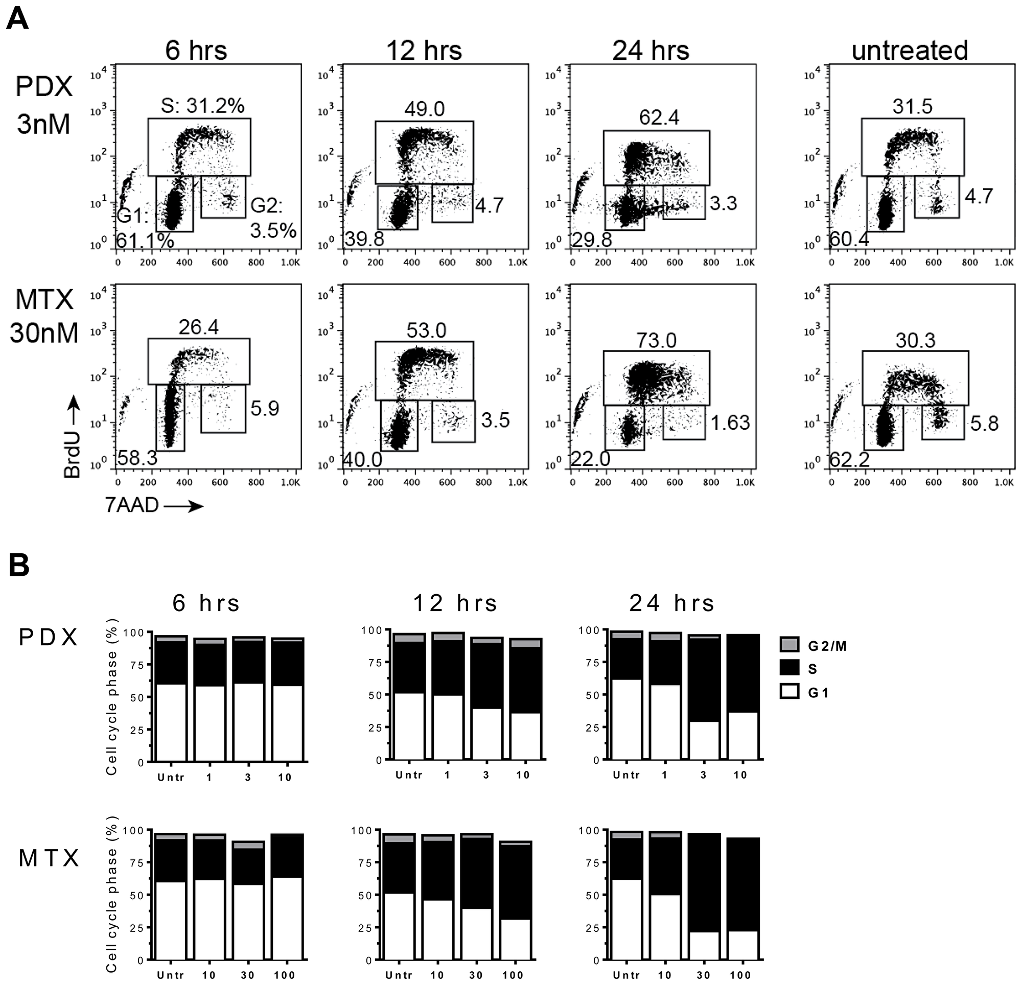 Antifolates cause cell-cycle disruption in MM.1s myeloma tumor cells