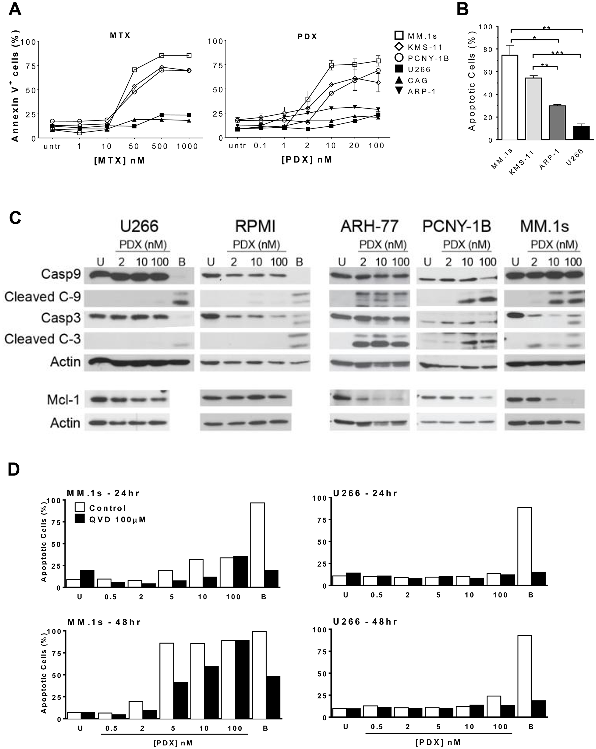 Antifolates induce apoptosis in a dose-dependent manner in sensitive HMCLs