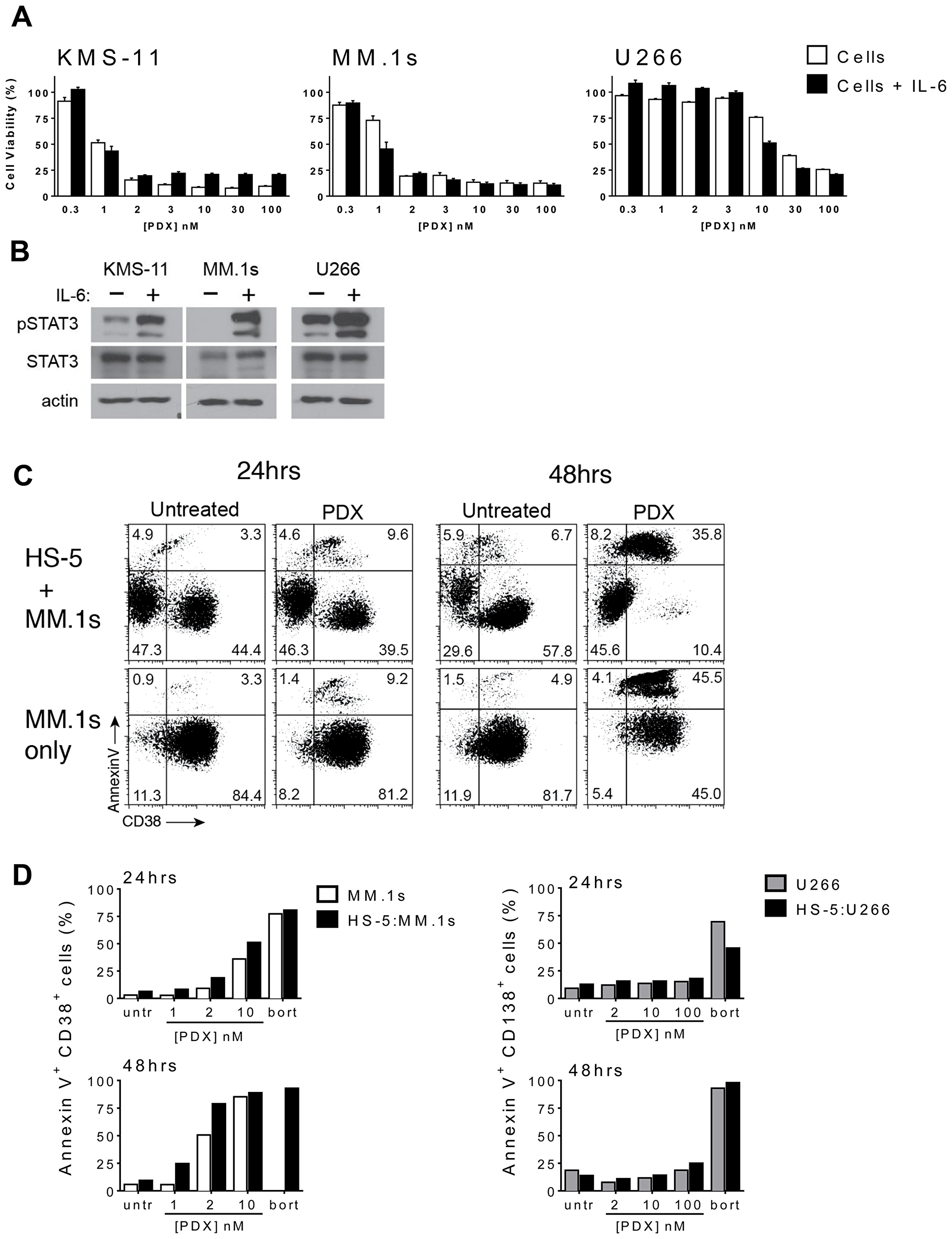 HMCLs retain sensitivity to PDX in the presence of microenvironment prosurvival factors