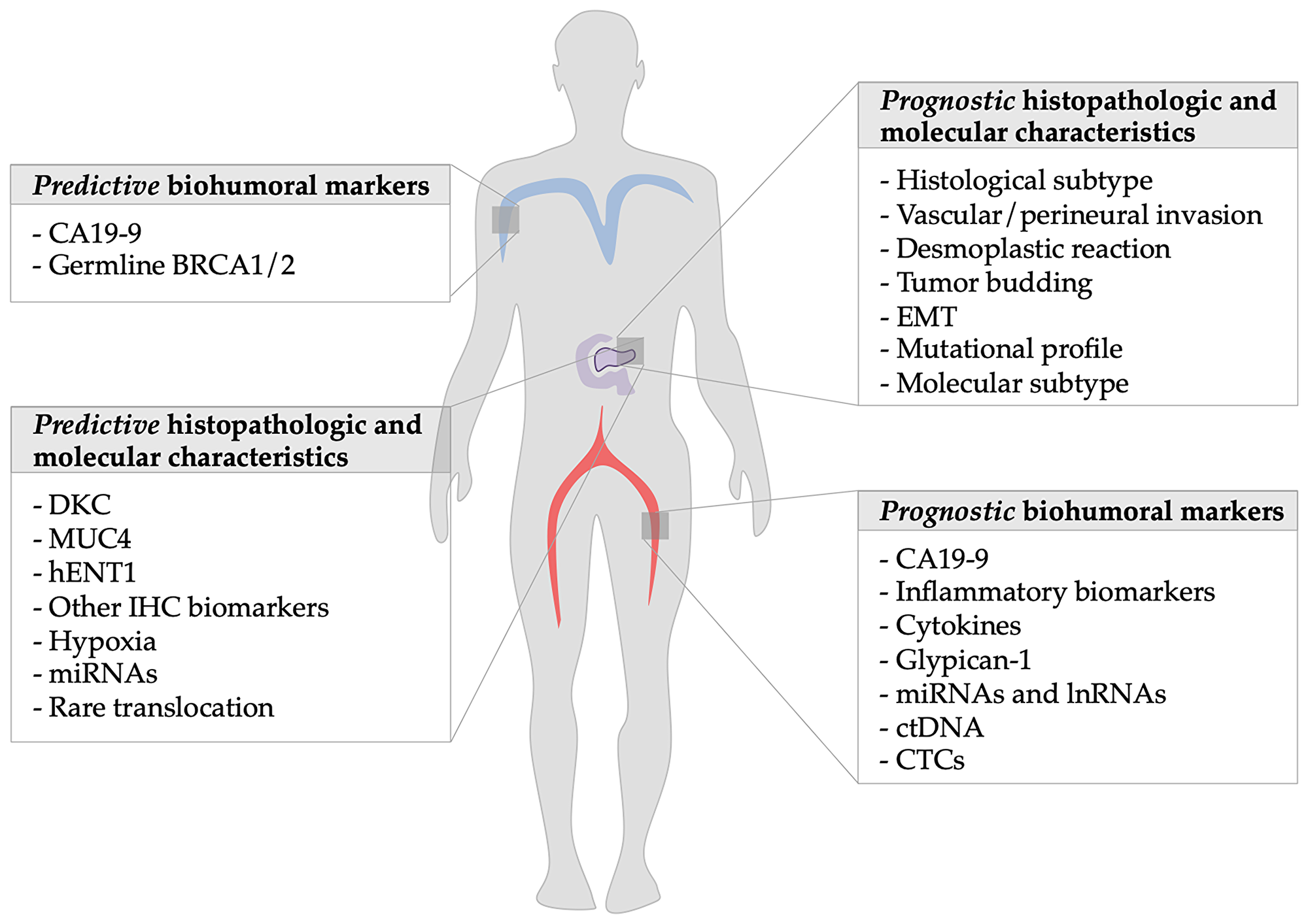 Summary of prognostic factors of metastatic pancreatic ductal adenocarcinoma: The figure shows on the left side the predictive markers discussed in the article and on the right the prognostic ones