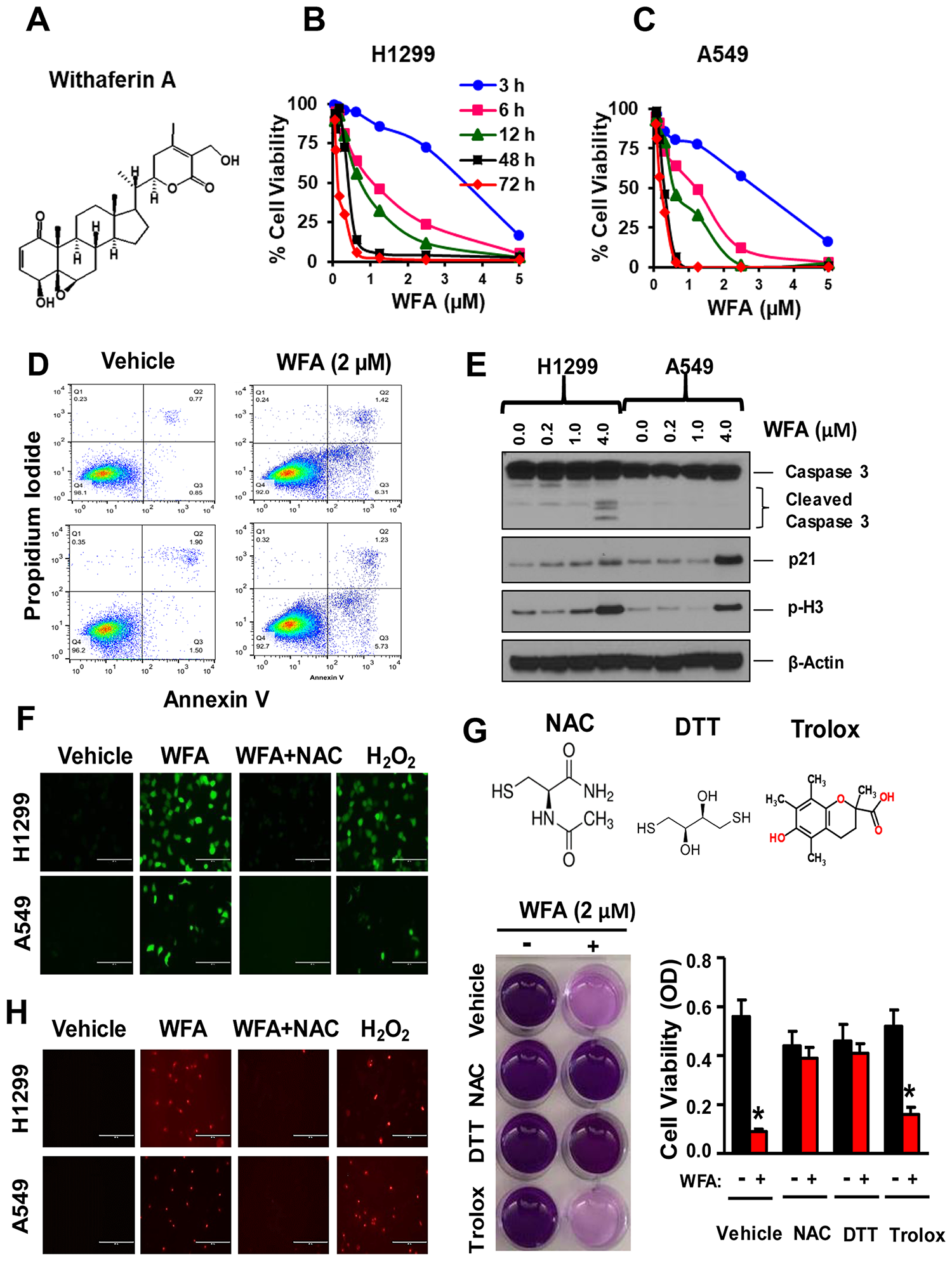 WFA inhibits NSCLC cell proliferation via thiol dependent induction of apoptosis