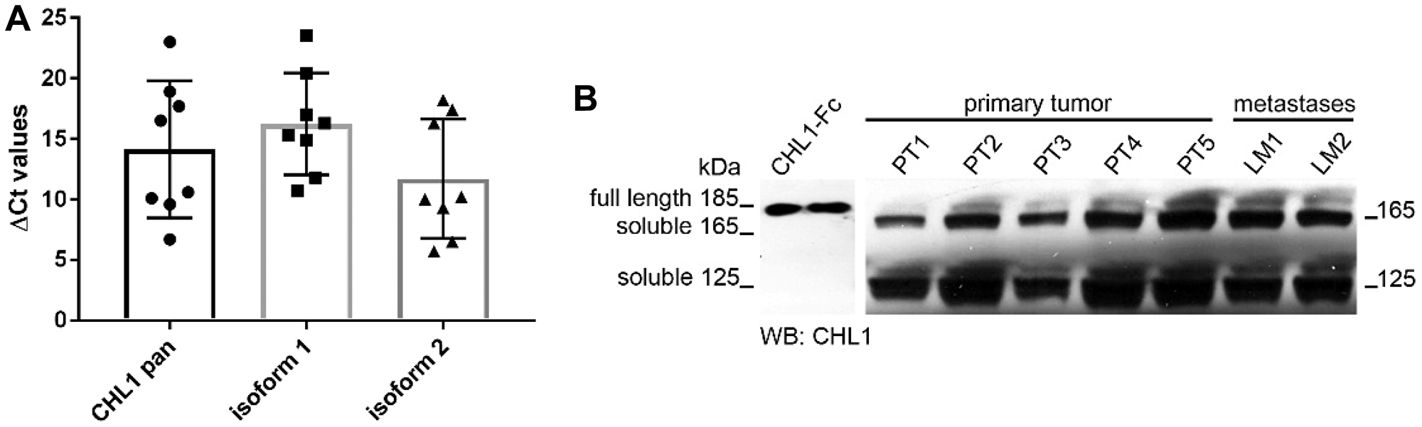 Figure 1: CHL1 expression analysis in GIST.